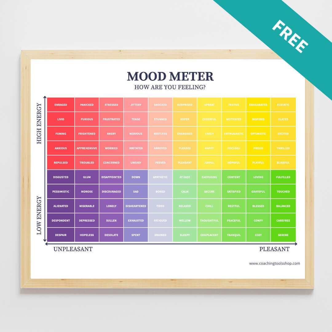 Download our brand new FREE Mood Meter today!

We love the simplicity and effectiveness of this coaching tool.

Every coach, facilitator, people leader and parent can benefit from having a copy of the FREE Mood Meter at hand.

Designed to support ind
