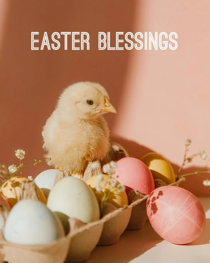 Today is a wonderful reminder of the beauty of fresh starts and the hope that comes with a new season. At Joining Hands Benefit Shop, community is at the heart of everything we do &mdash; a place where kindness is shared, support is meaningful, and p