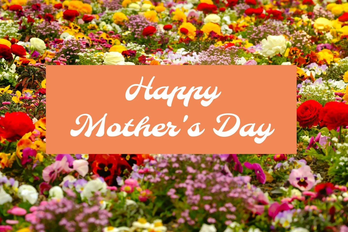 This Mother&rsquo;s Day, we honor the women who lead with compassion, strength, and generosity&mdash;qualities that shape families and strengthen communities.

At Joining Hands Benefit Shop, every purchase and donation helps extend that same care to 