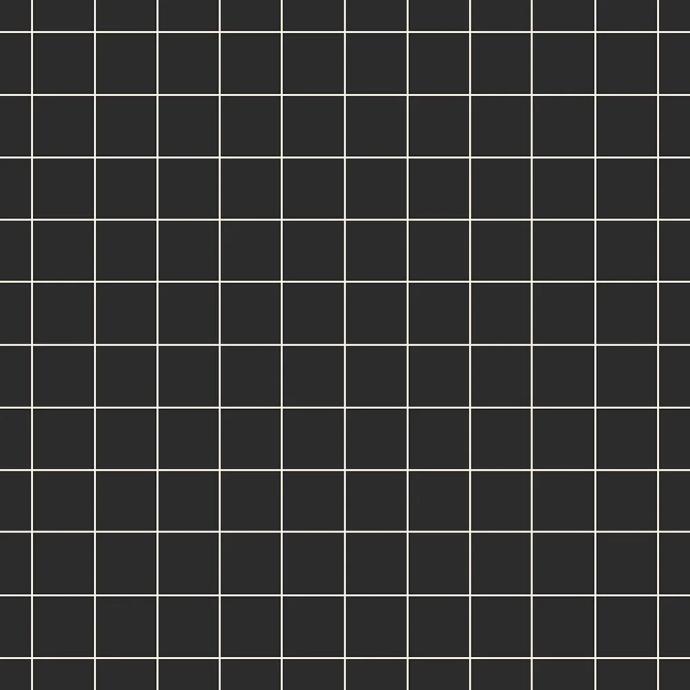 25.Grids Black.jpg
