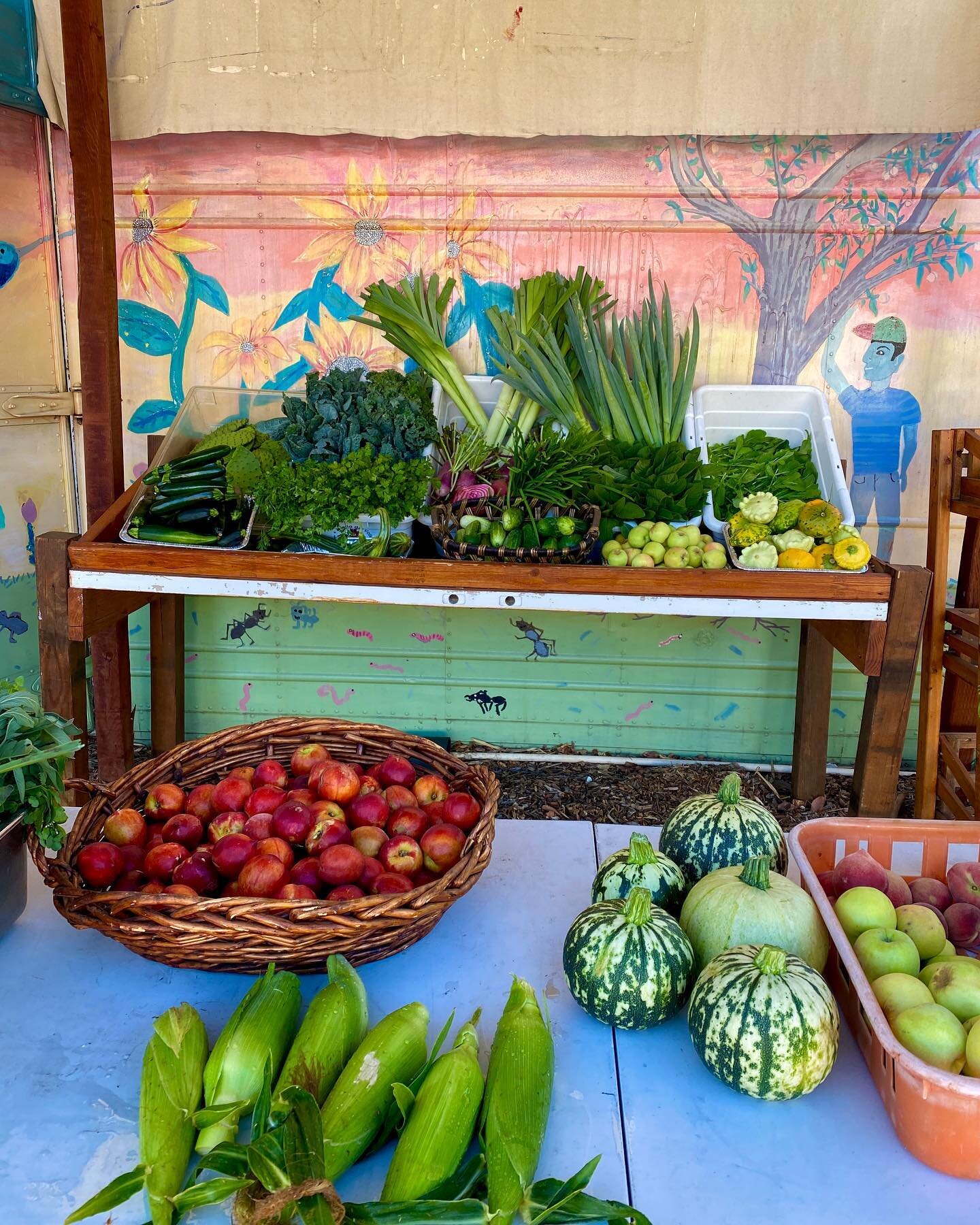 Saturday produce market open 8am-12pm! 🍑🌽 We have herbs, corn, squash, apples, melons, nectarines, onions, nopales, and more! 
~~~
&iexcl;Mercado de S&aacute;bado abierto de 8am-12pm! 🍑🌽 &iexcl;Tenemos hierbas, elotes, calabaza, manzanas, melones