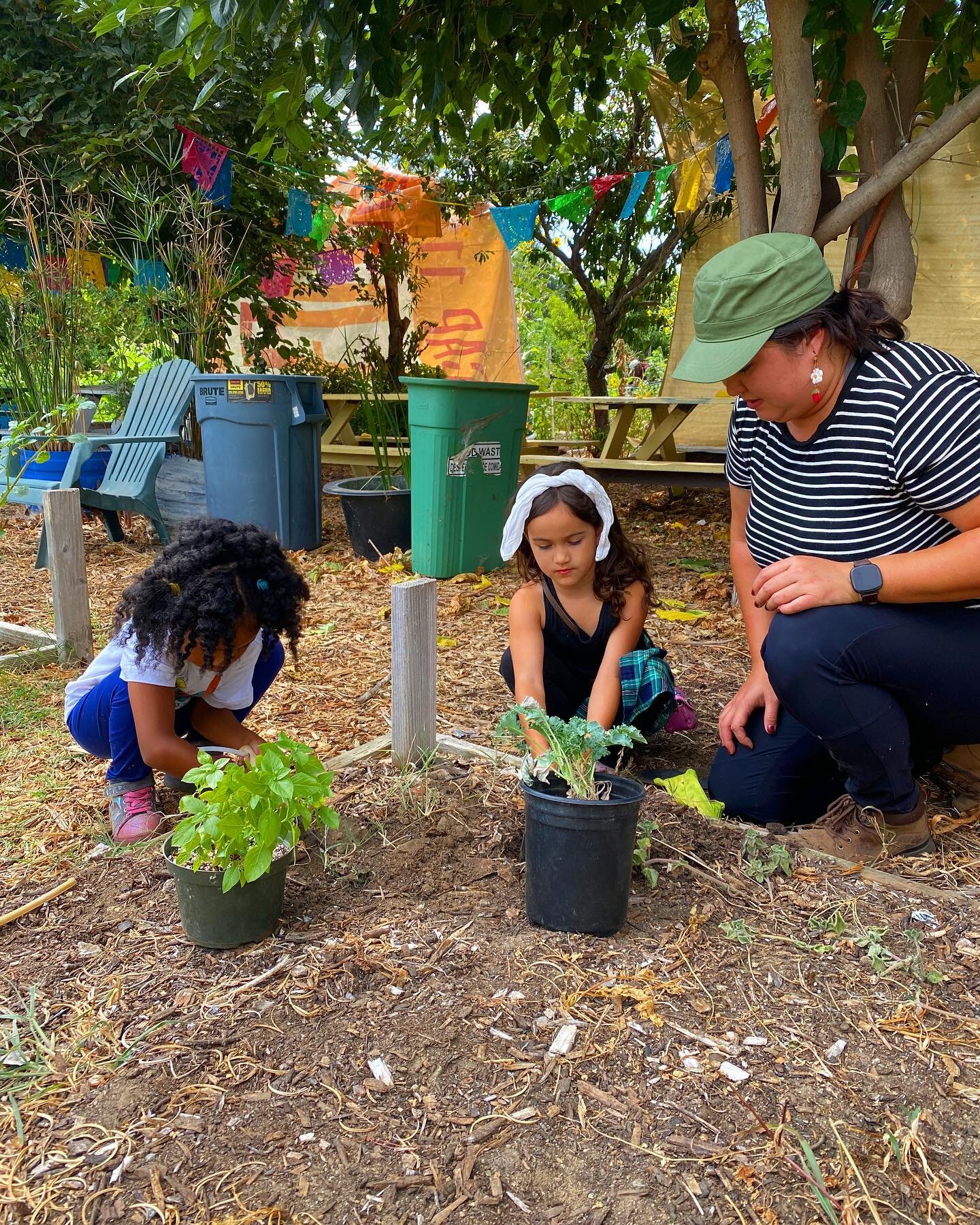 Our Abejas kids program is back! 🐝 Sign your children up for this Summer Gardening program where they can learn about gardening, social justice, food preparation, and more! 🌱 Children ages K-6 are eligible to join, every Saturday 10am-12pm until Se