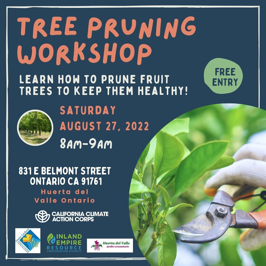 Join us Saturday August 27th for a workshop about tree pruning for fruit trees! San Bernardino Master Gardener will teach about the importance of pruning for keeping fruit trees healthy and productive 🍎 🍑 🍊🍏
~~~
&iexcl;&Uacute;nase a nosotros el 