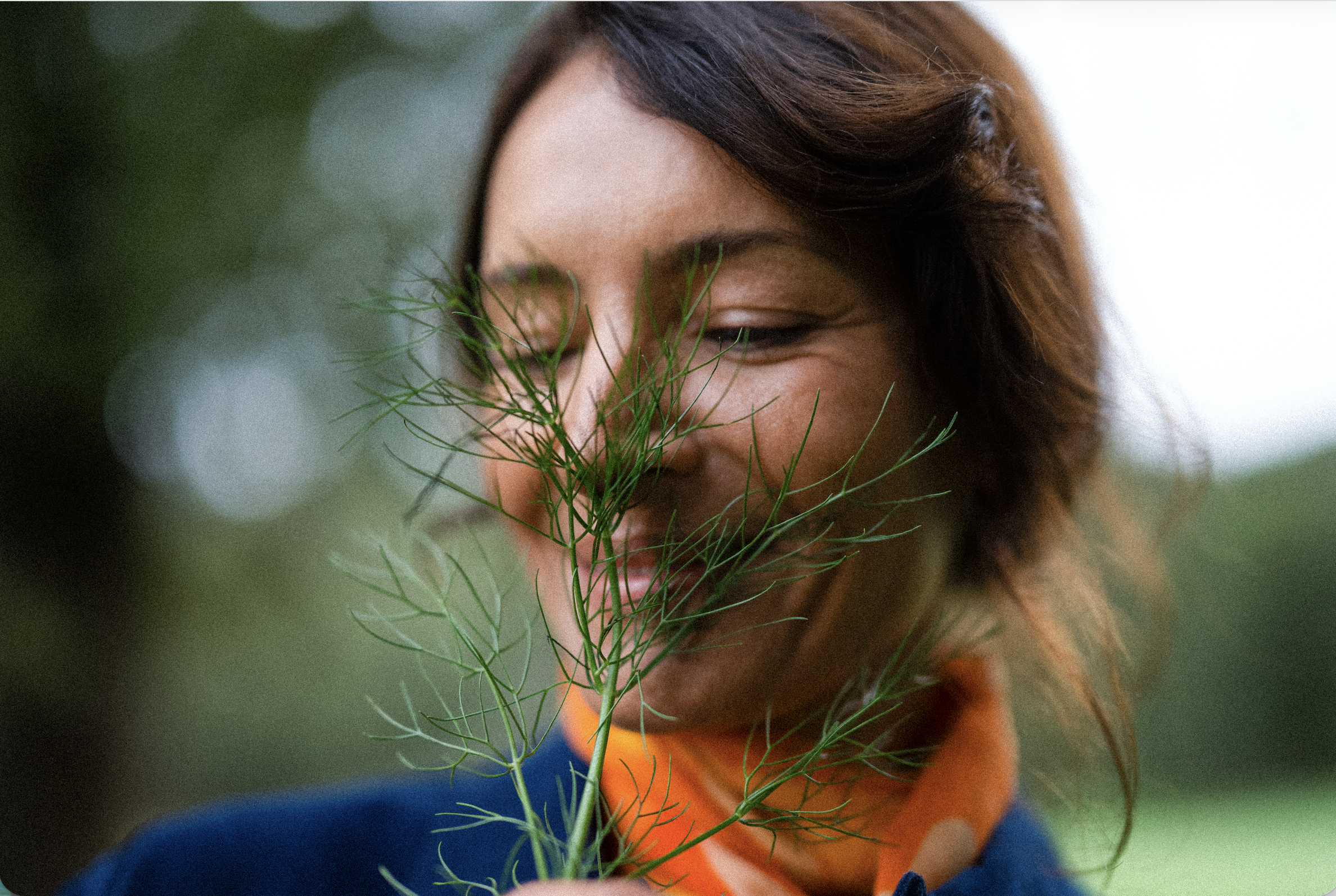 Screenshot 2026-03-03 at 10.53.21 AM.png