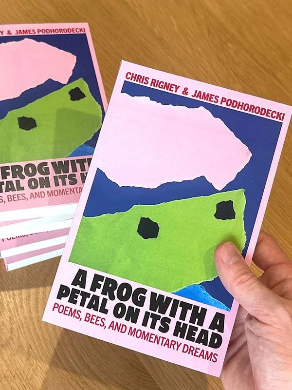 A Frog with a Petal on Its Head