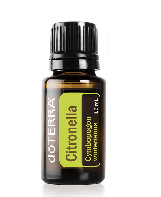 Citronella