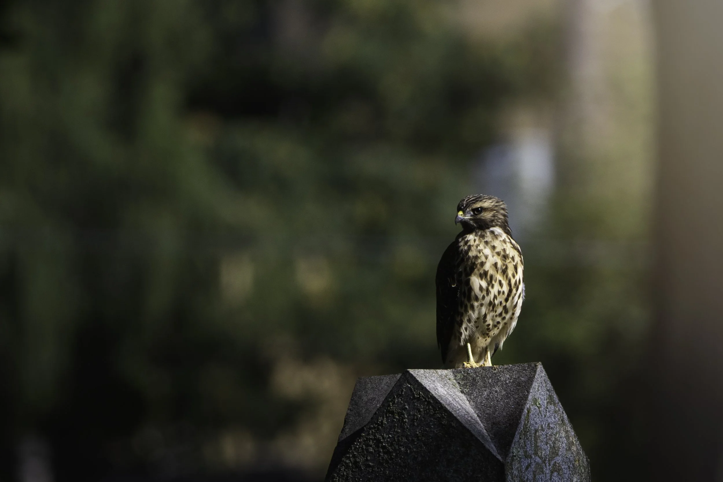 0X5A5262-Edit.jpg