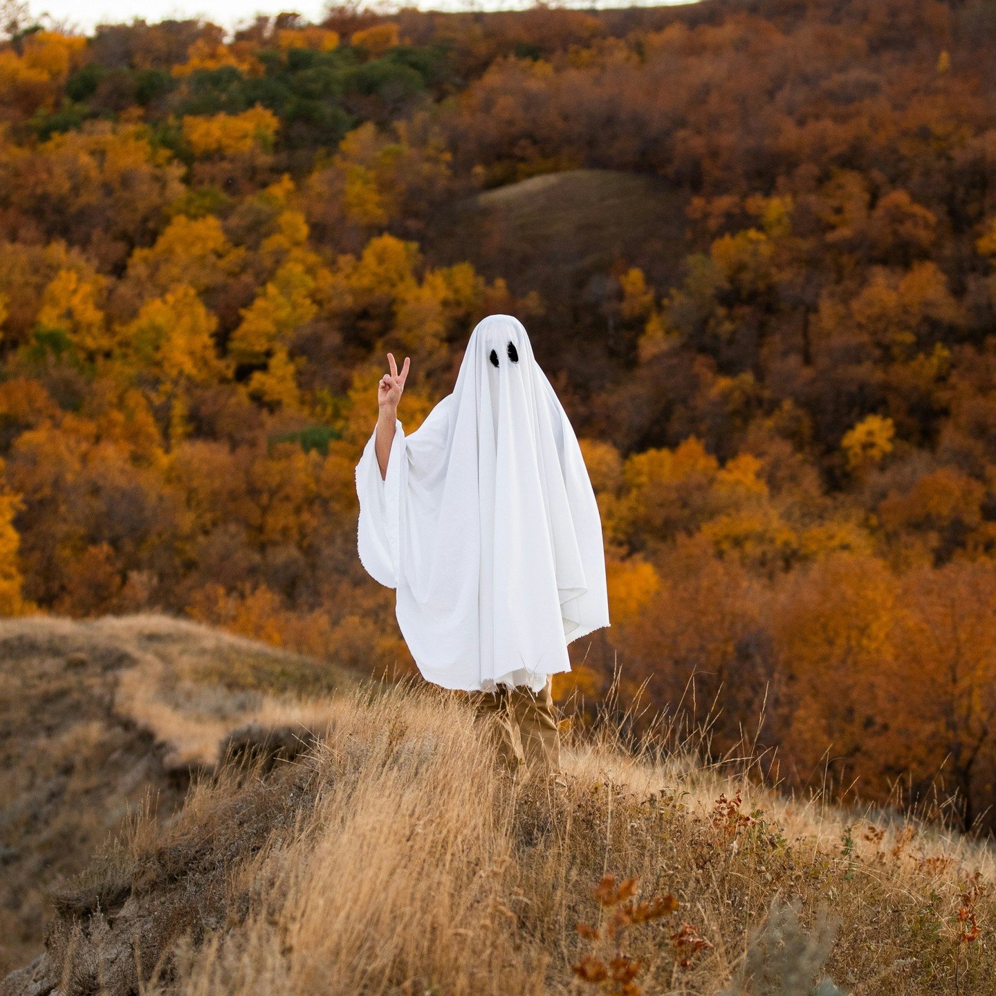 Happy Halloween to all you ghouls. Hope it's a safe, fun and memorable one.