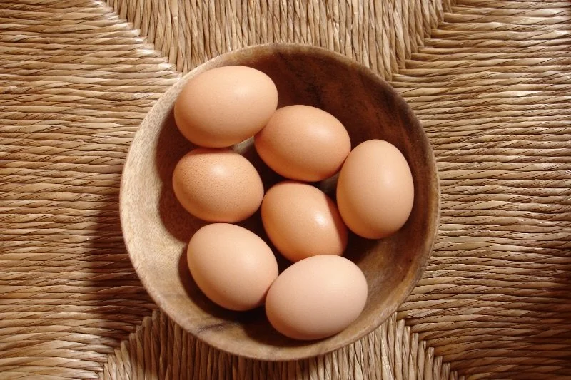 Backyard Chicken Keeping for Beginners