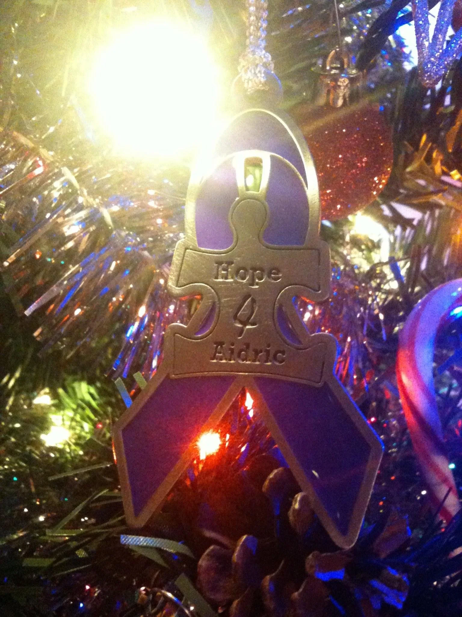 Christmas Ornament Fundraiser, Dionnia Sheffield