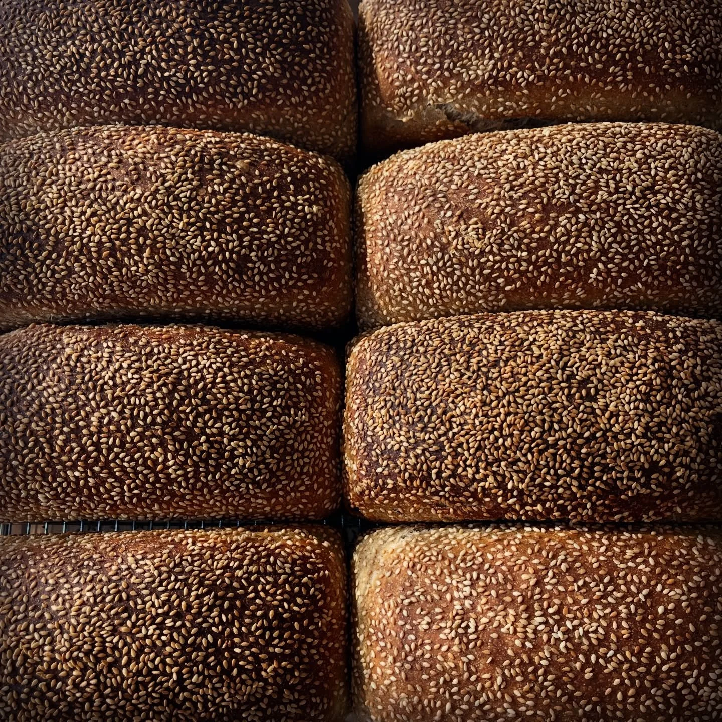 Farmers market update:

I will be teaching a sourdough workshop in Glendora Saturday and won&rsquo;t be able to attend the market Friday.  I will most likely have a few extra Country loaves if you don&rsquo;t mind a porch pick up.  DM me if you&rsquo