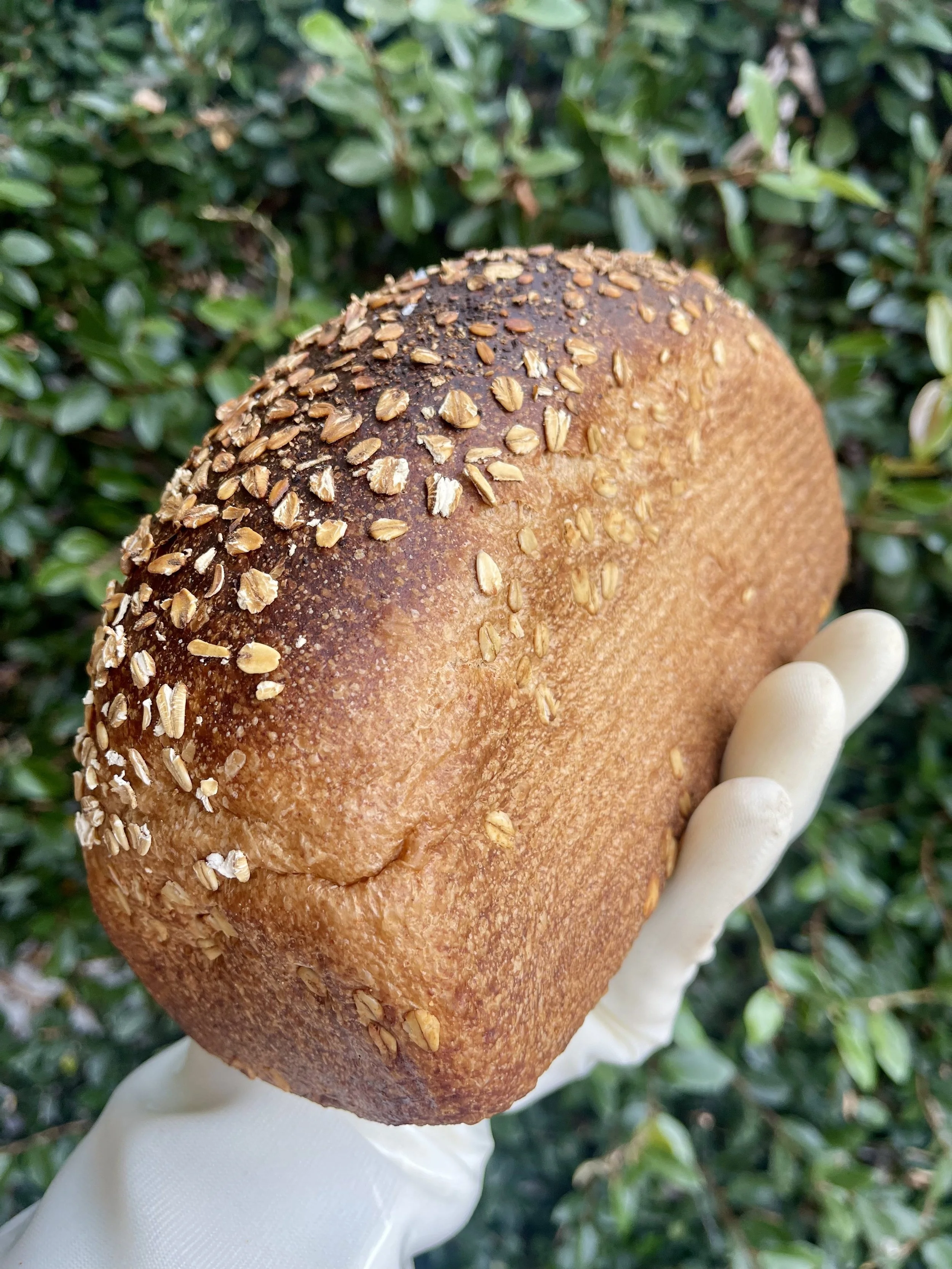 Wildflour Honey & Molasses Brown Bread
