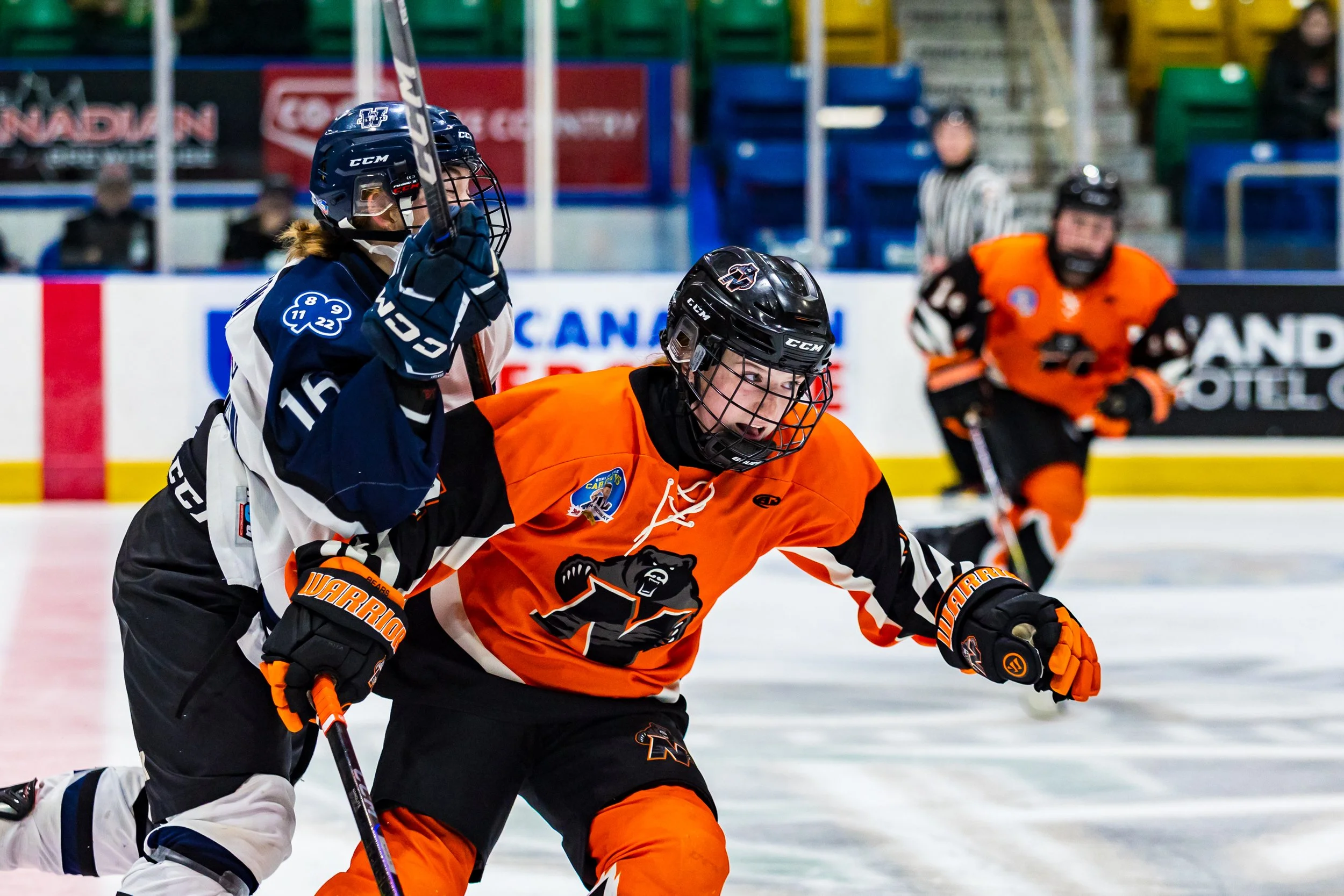 Bears_Wildcats_112925-16.jpg