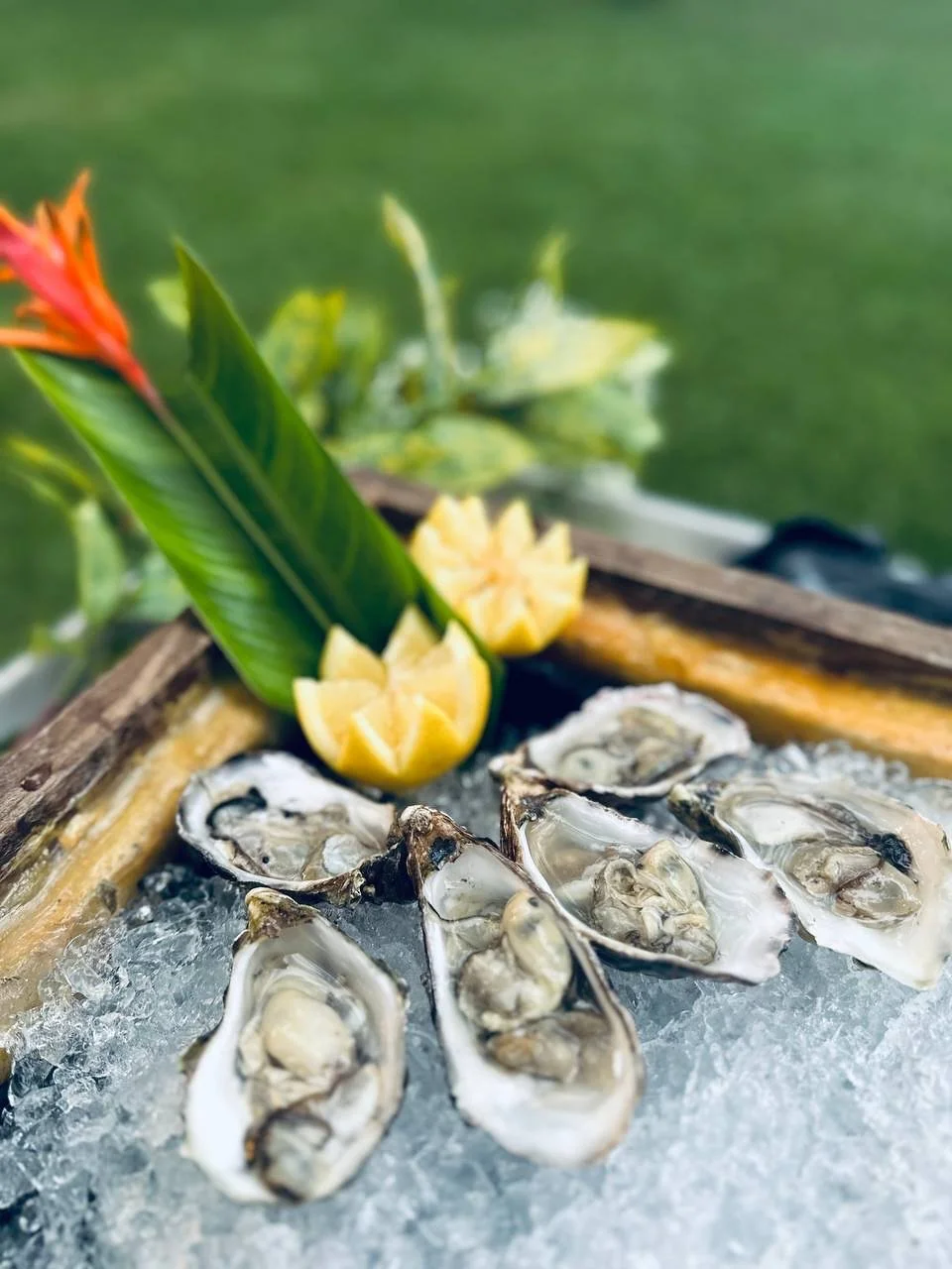 Planning a private event? Let us bring the freshest experience to your party! At Heap Seng, we offer live Oyster Bar catering &mdash; complete with a beautifully styled setup and professional oyster shuckers to serve your guests on the spot.

From el