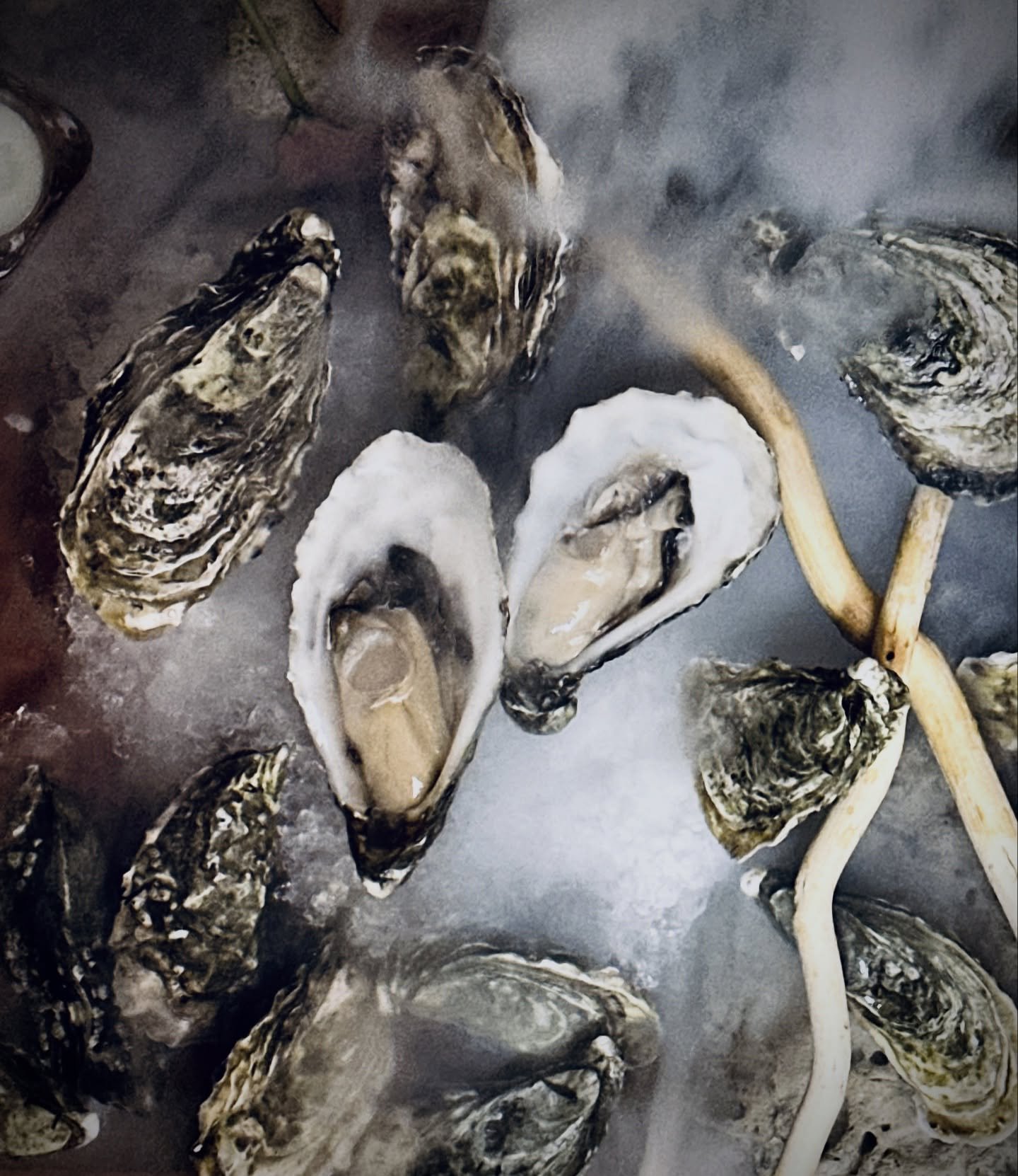 Ice-cold, ocean-fresh, and shucked to order. 🦪❄️
Come slurp the sea at Heap Seng &mdash; sweet, briny oysters served on the rocks, best with good company.

#HeapSeng #seafood #oysters #irishpremium #penangfoodie #penangfood #georgetown #georgetownea