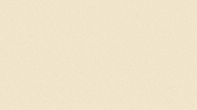 End_Animation_Frame+1.gif