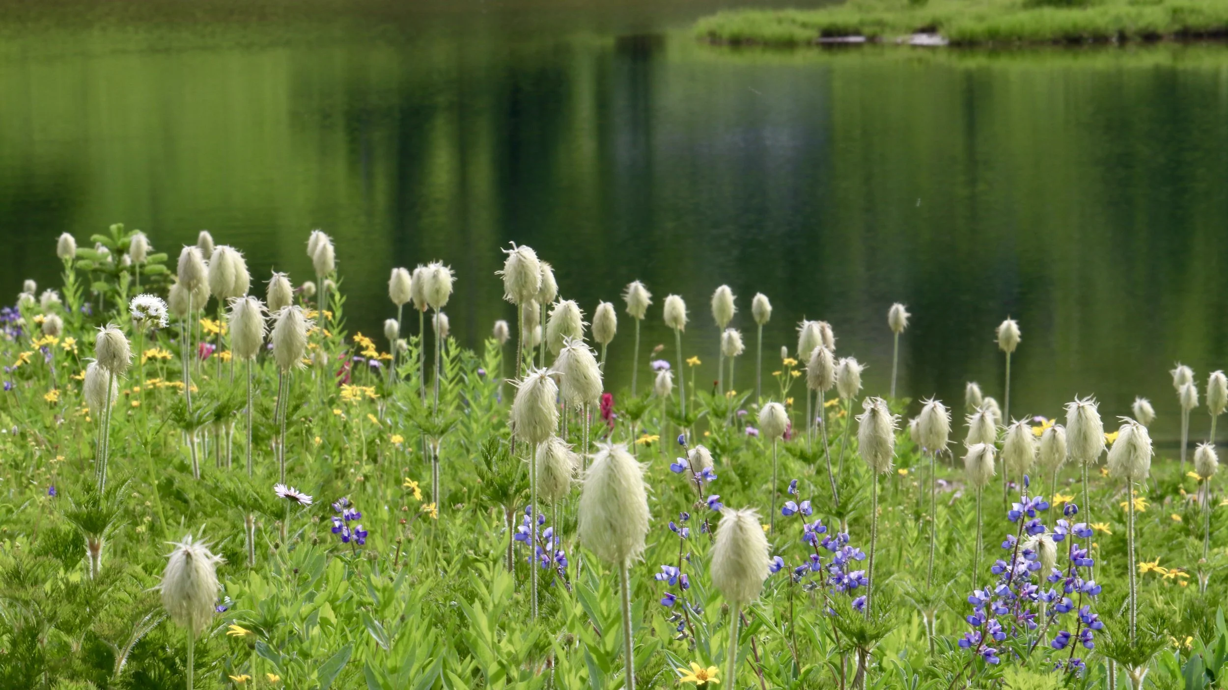 Zen and the Art of Contemplative Relaxation - Rimrock Lake, 7.25.21 - 7.28.21