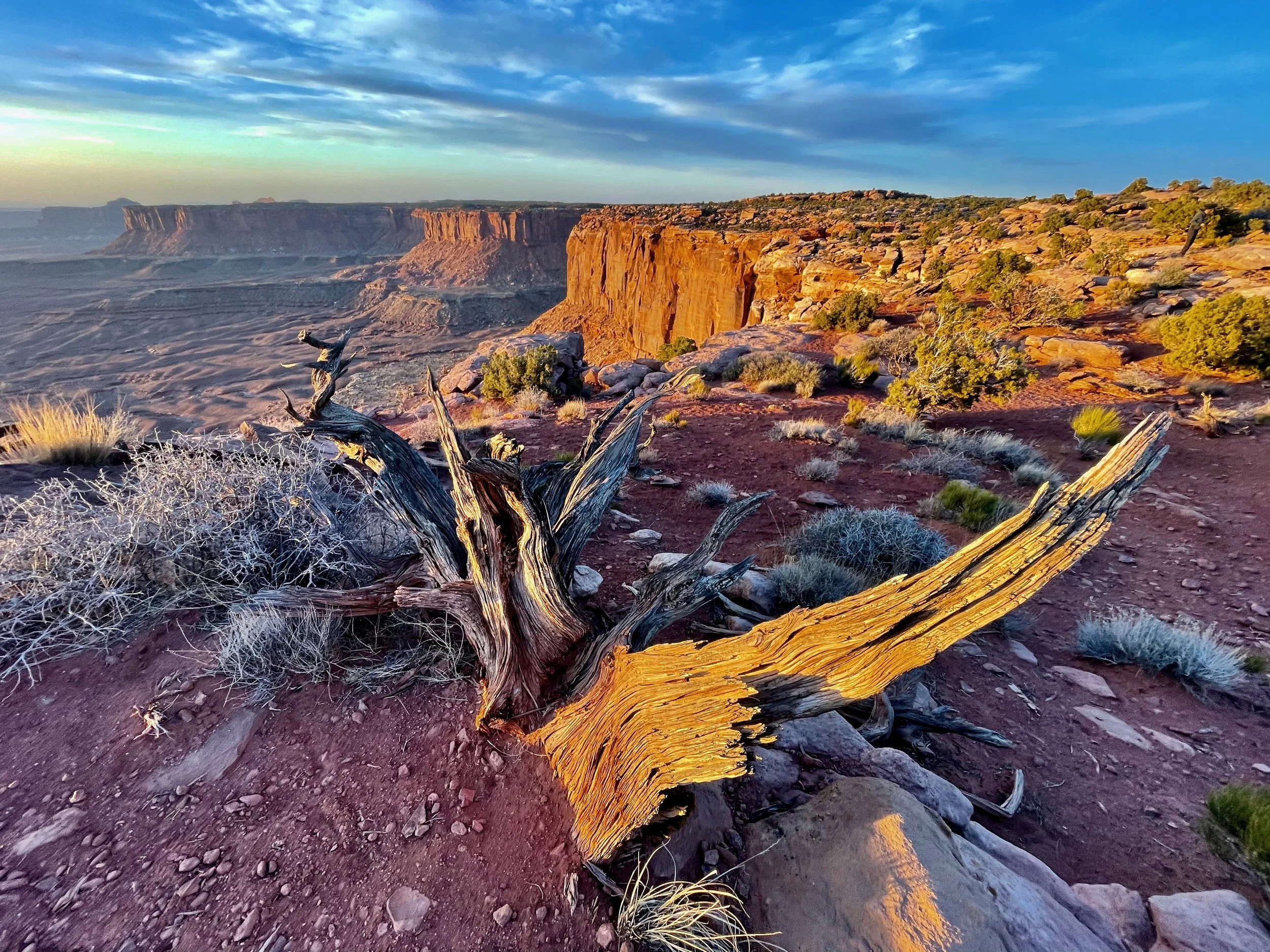 2021 Spring Tour of the Southwest, 3.31.21 - 4.14.21, Part 8 of 11, White Rim Overlook/Grandview Point