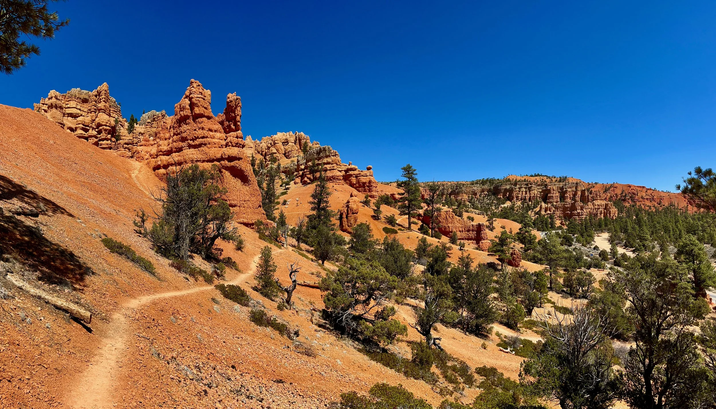 2021 Spring Tour of the Southwest, 3.31.21 - 4.14.21, Part 4 of 11, Red Canyon/Kodachrome Basin