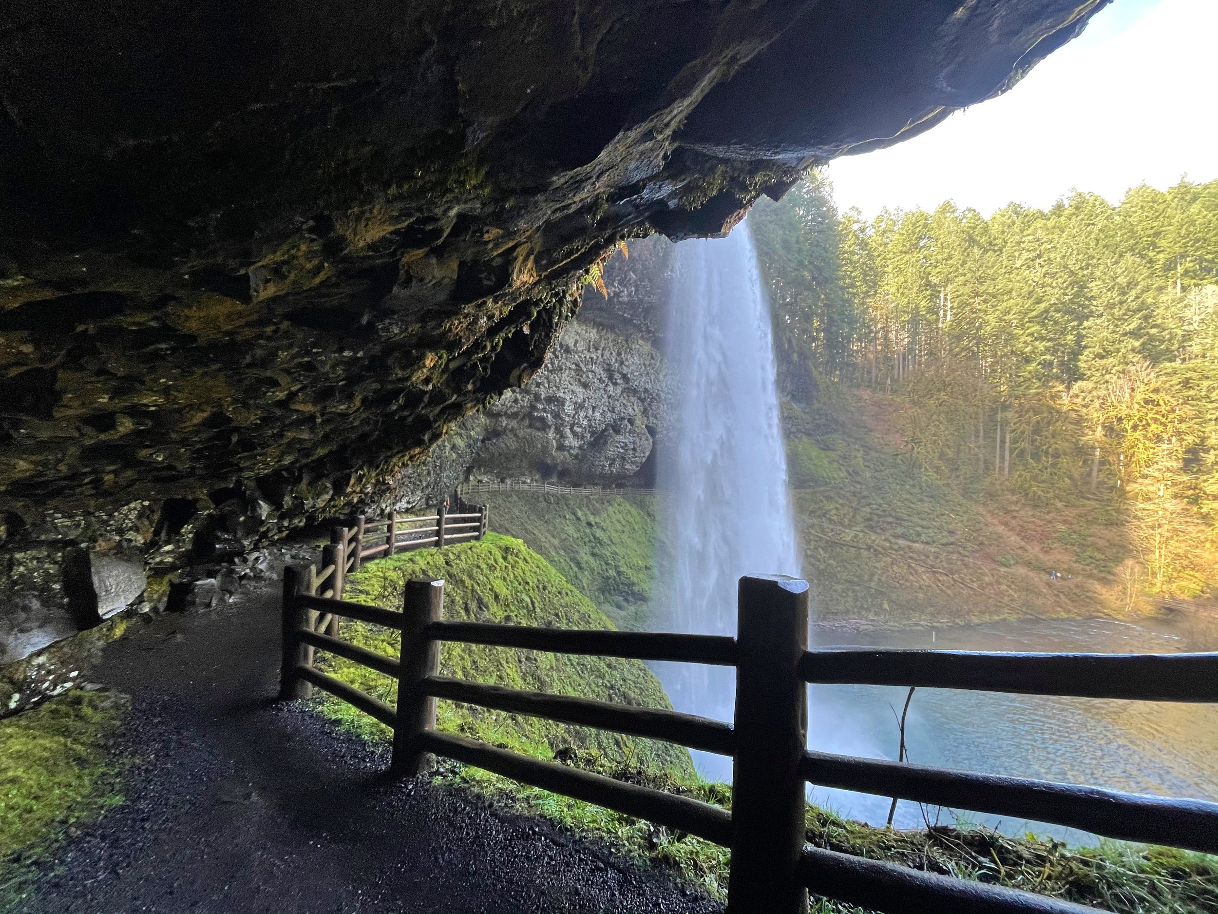 Waterfall Insanity! Silver Falls State Park, Oregon, 3.9.21 - 3.12.21