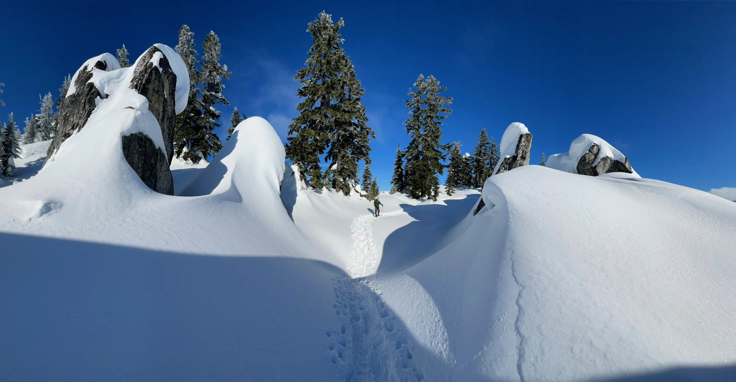 Fine Day For A Snowshoe - Skyline Lake/The Rock Garden, 1.22.21