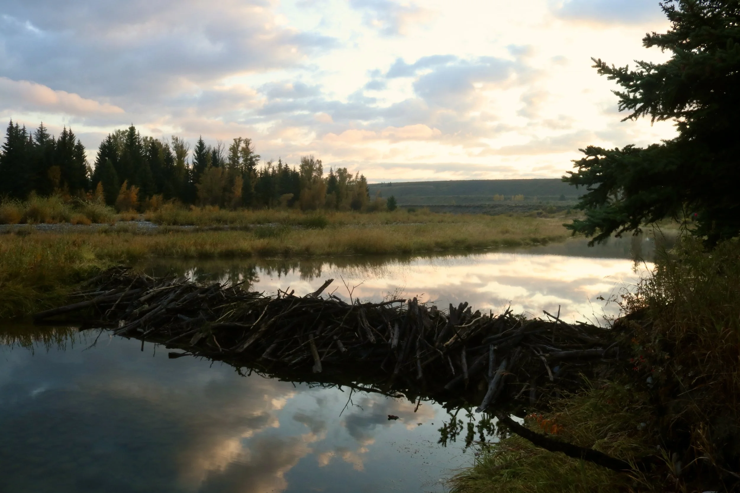 The Big Trip 9.7.20 - 9.23.20, Part 8 of 9: The Tetons
