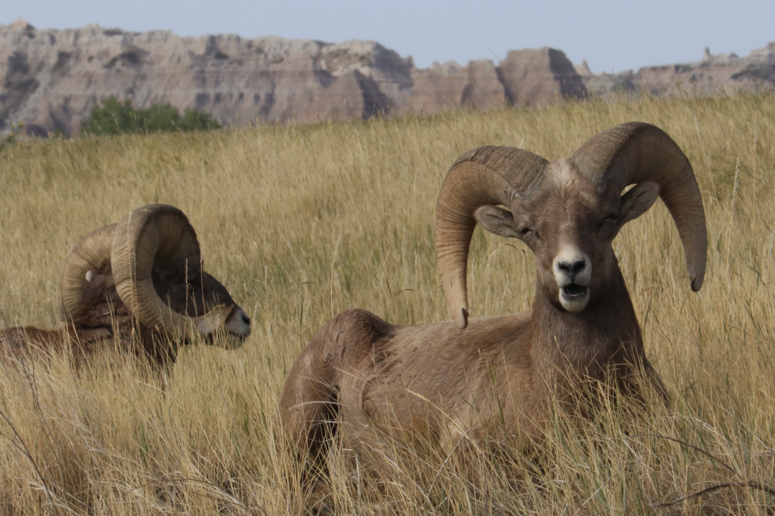 The Big Trip 9.7.20 - 9.23.20, Part 4 of 9: Badlands National Park - Departure Day