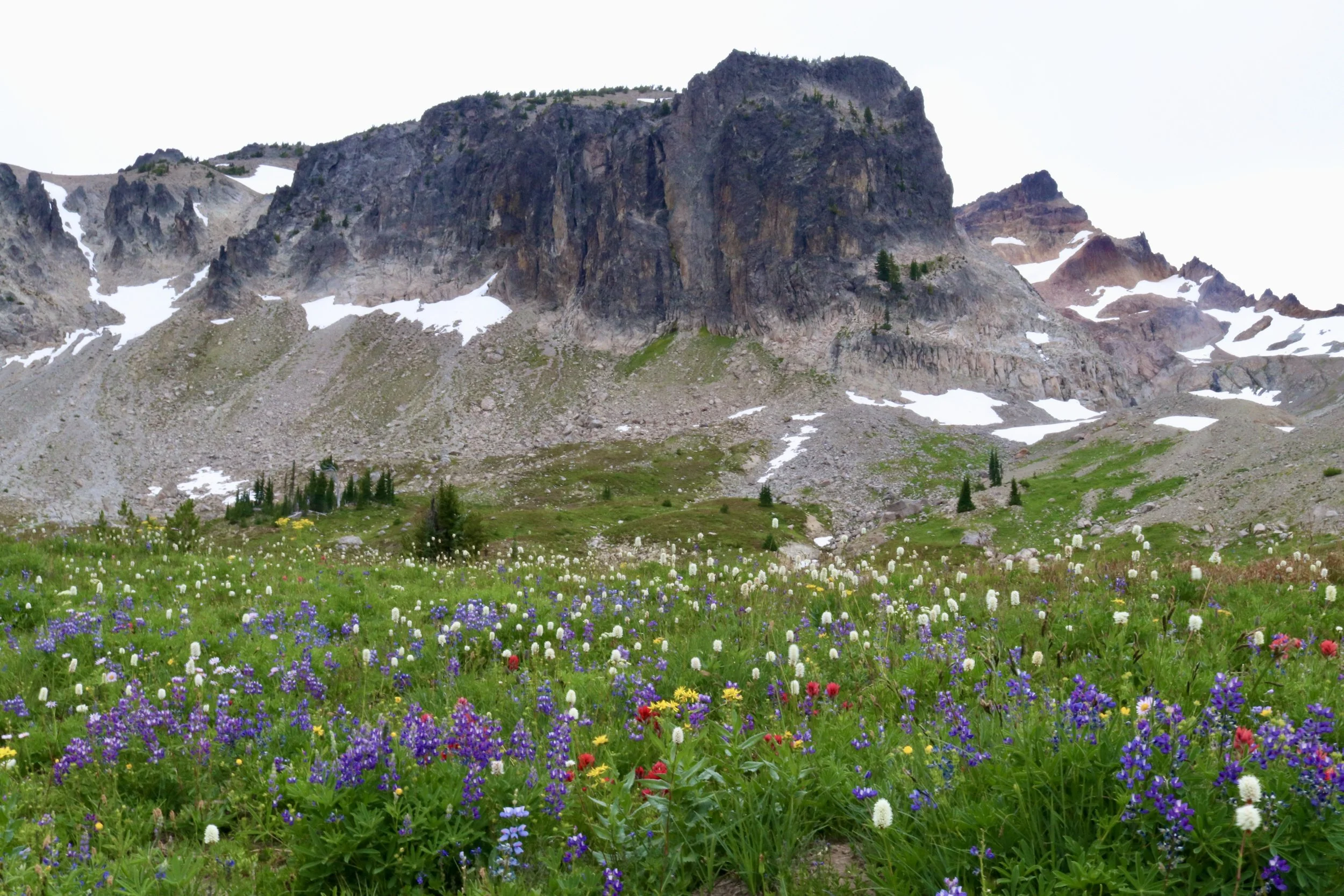 Dust In The Wind - Goat Rocks Wilderness, Surprise Lake, Warm Lake, Gilbert Peak - 8.9.20 - 8.12.20, Part 3 of 3