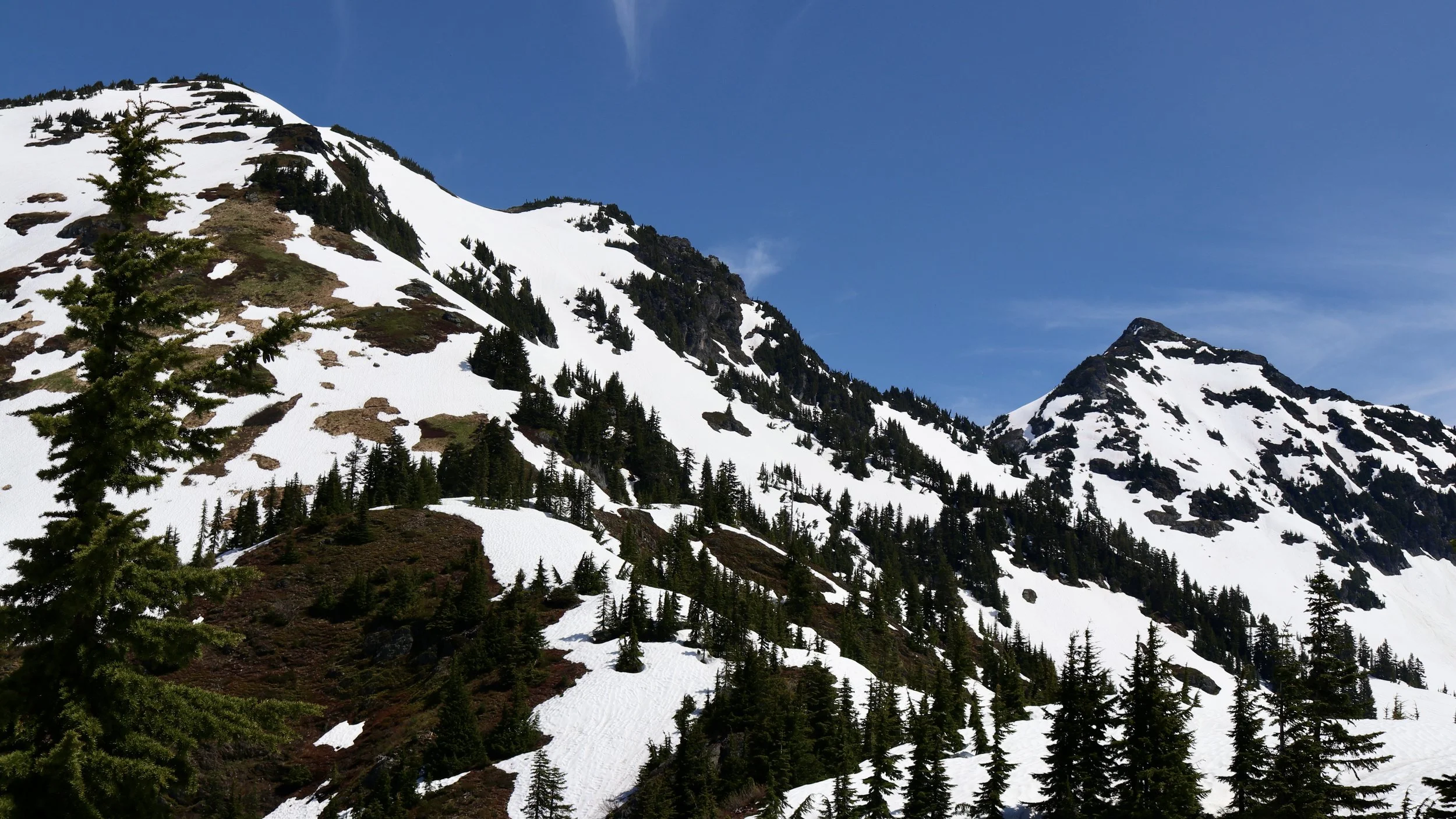 Back to Where It All Began - Goat Mountain, 6.25.2020