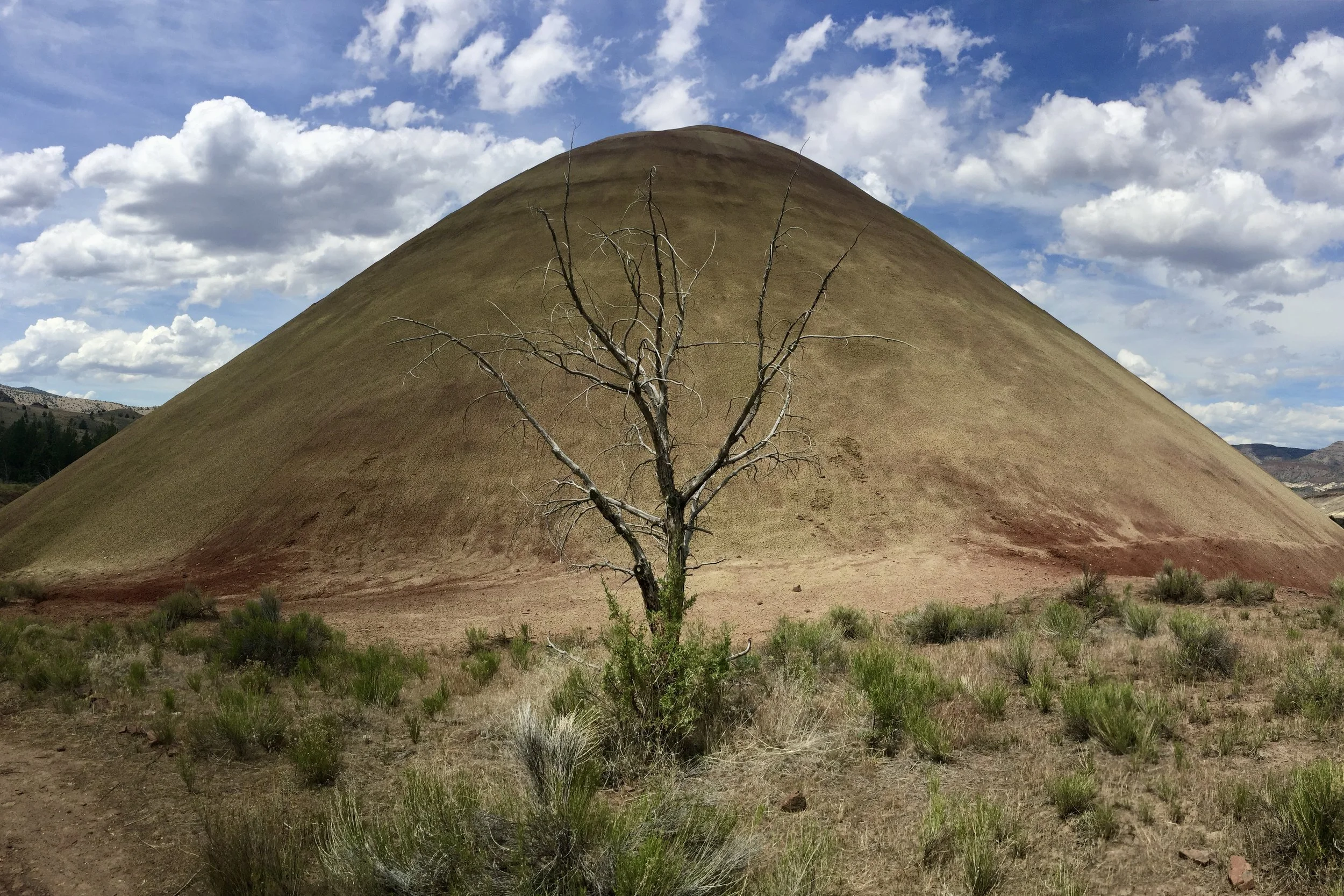 Mental Medication - Smith Rock/Painted Hills, 6.8.2020 - 6.12.2020, Part 2 of 2