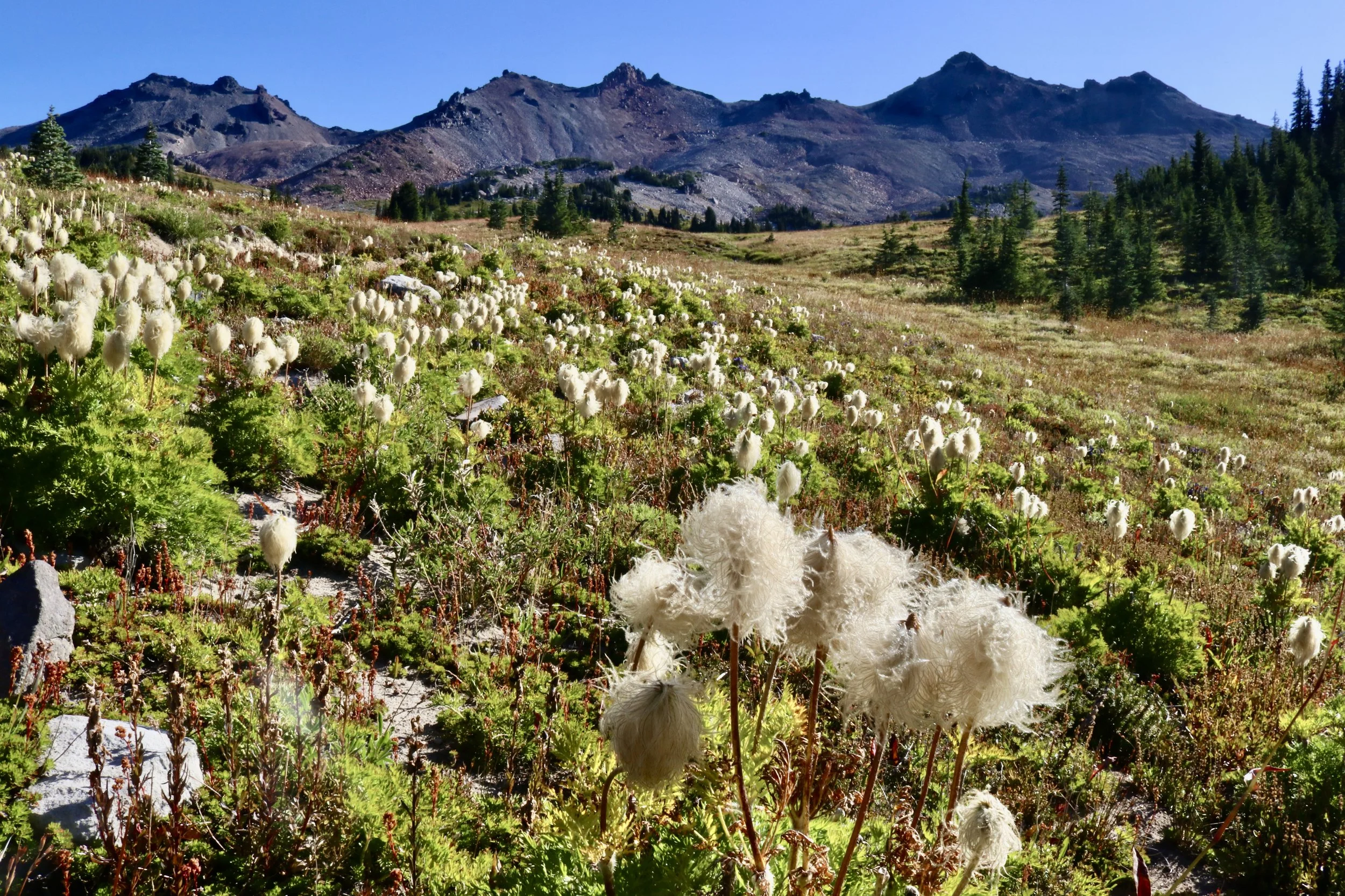Just Me and My Backpack - Goat Rocks Wilderness, 9.3.19 - 9.5.19, Part 2 of 3