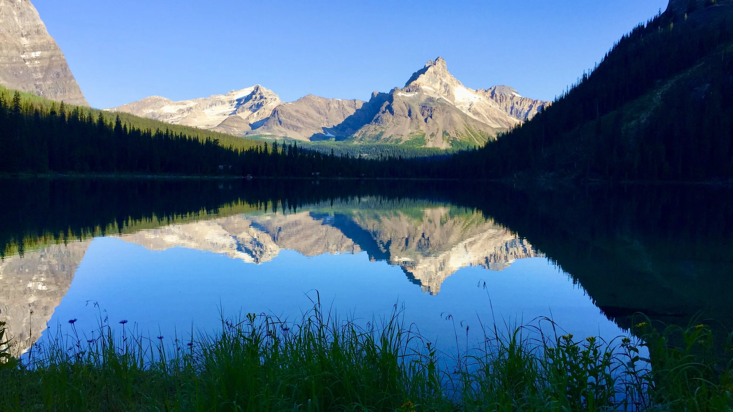 O Canada! Lake O'Hara/Yoho National Park, 8.6.19 -8.9.19, Part 8 of 8