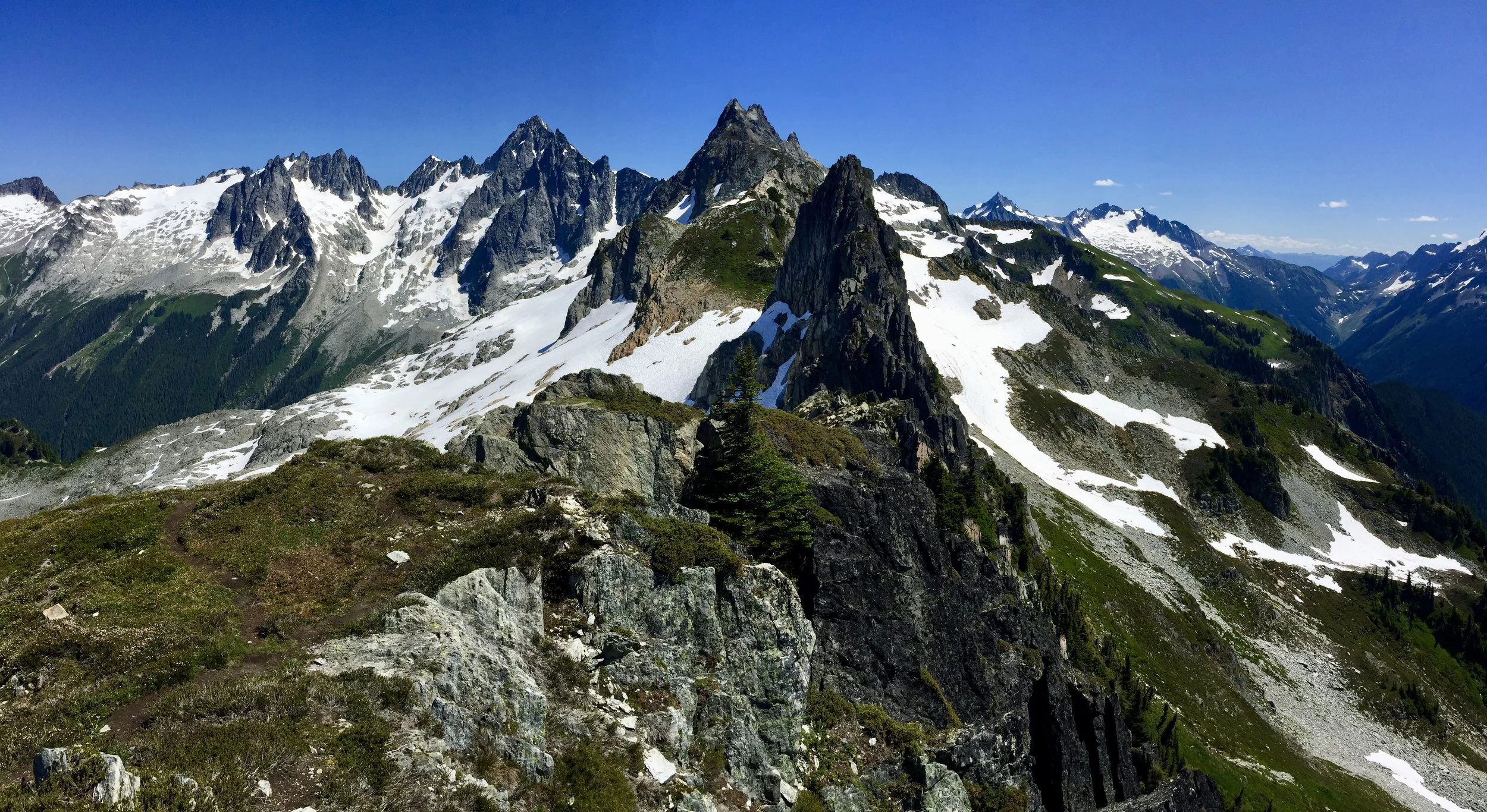 Alpine Splendor Overload - Sibley Point, 7.21.19