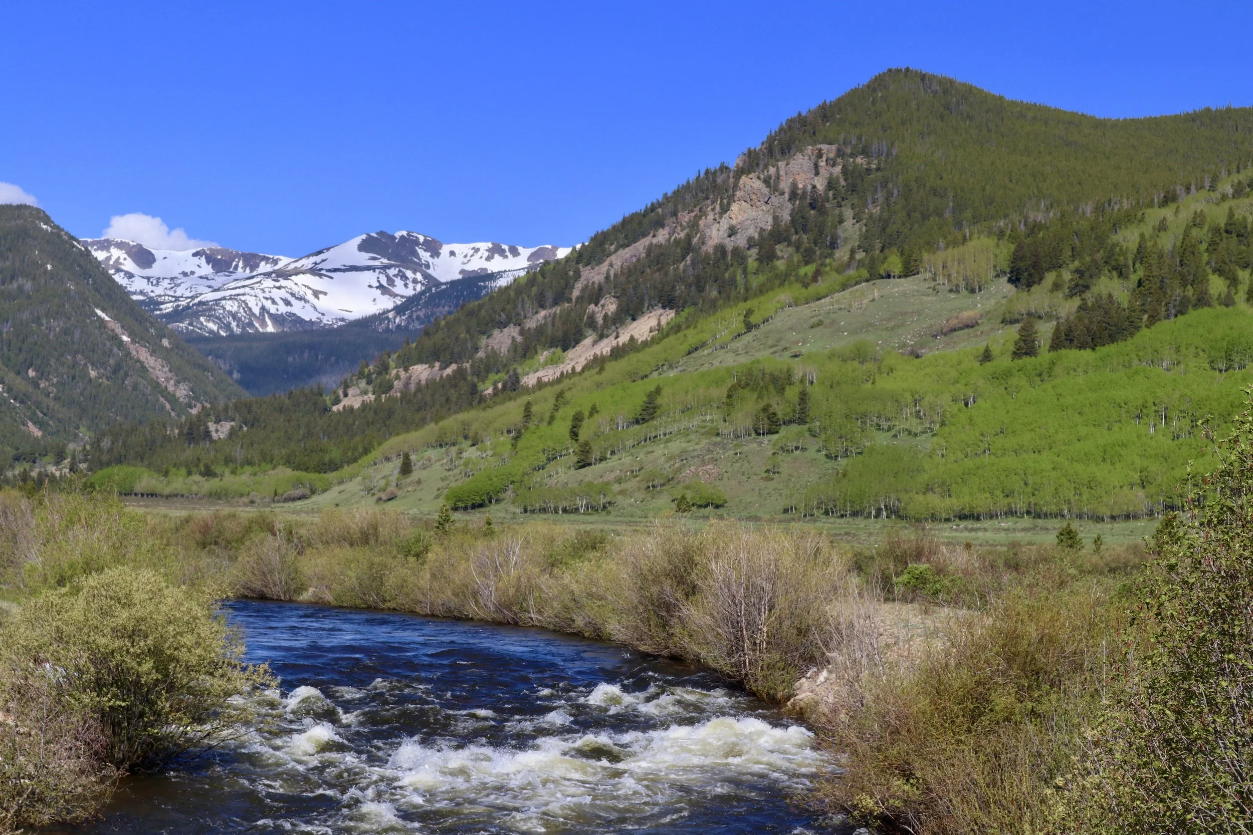 Back To High Colorado - 6.12.19 - 6.17.19
