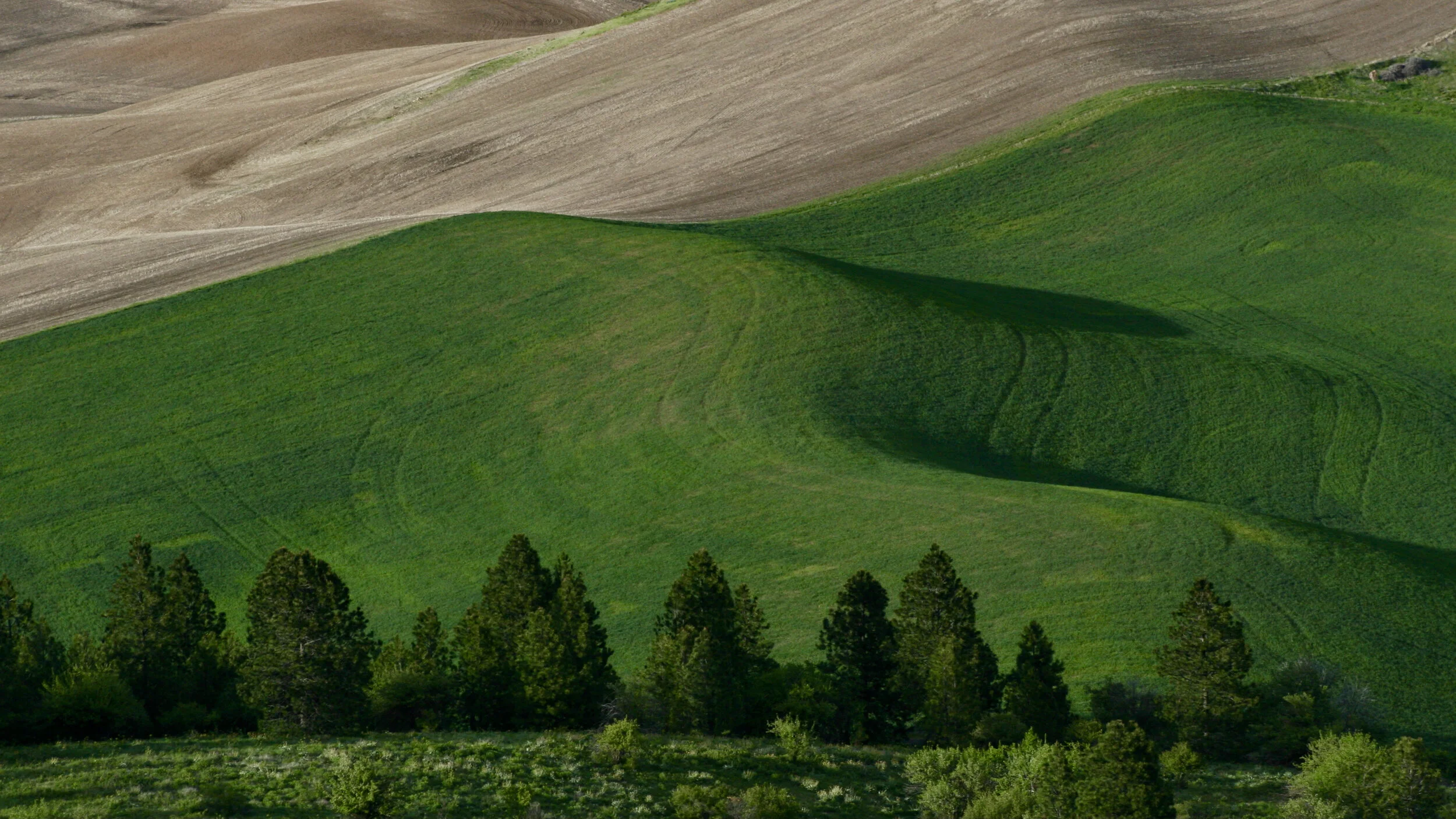 Gettin' Loose in the Palouse, 5.18.19 - 5.24.19, Part 2 of 3