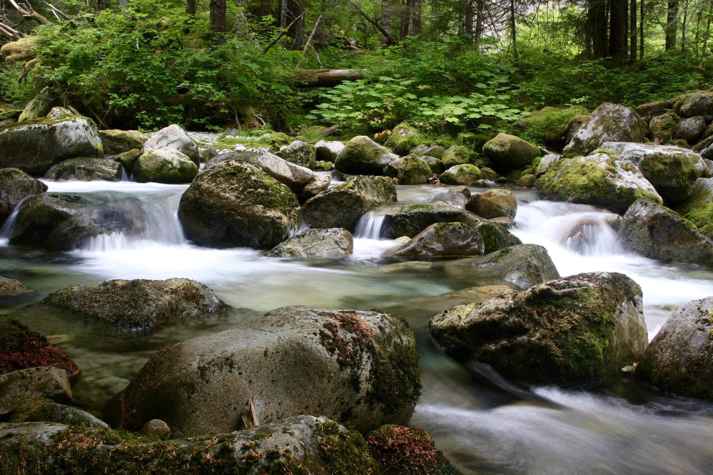 The Tapto Lakes Tour, 7.31.15 - 8.6.15, Part 5 of 5