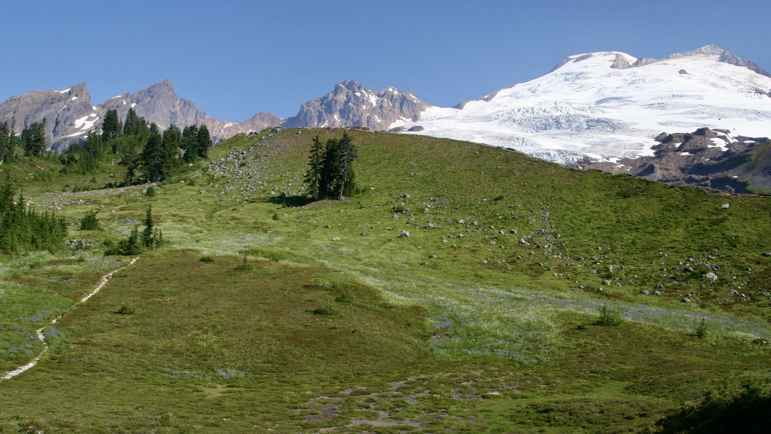 The Baker’s Dozen (miles that is), The Scott Paul Trail/Mt. Baker, 8.24.14