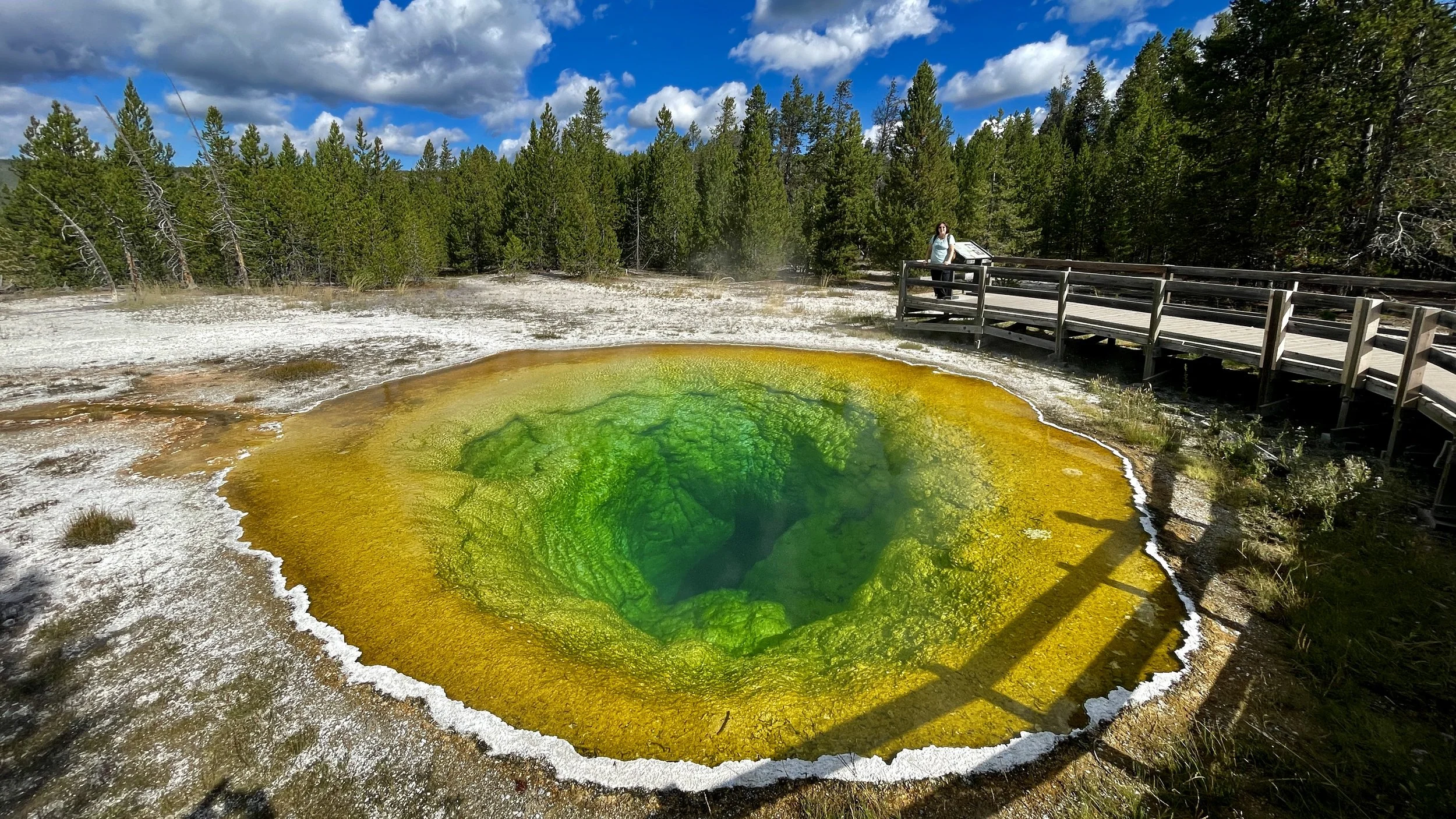 Morning Glory Pool, Yellowstone National Park, WY
