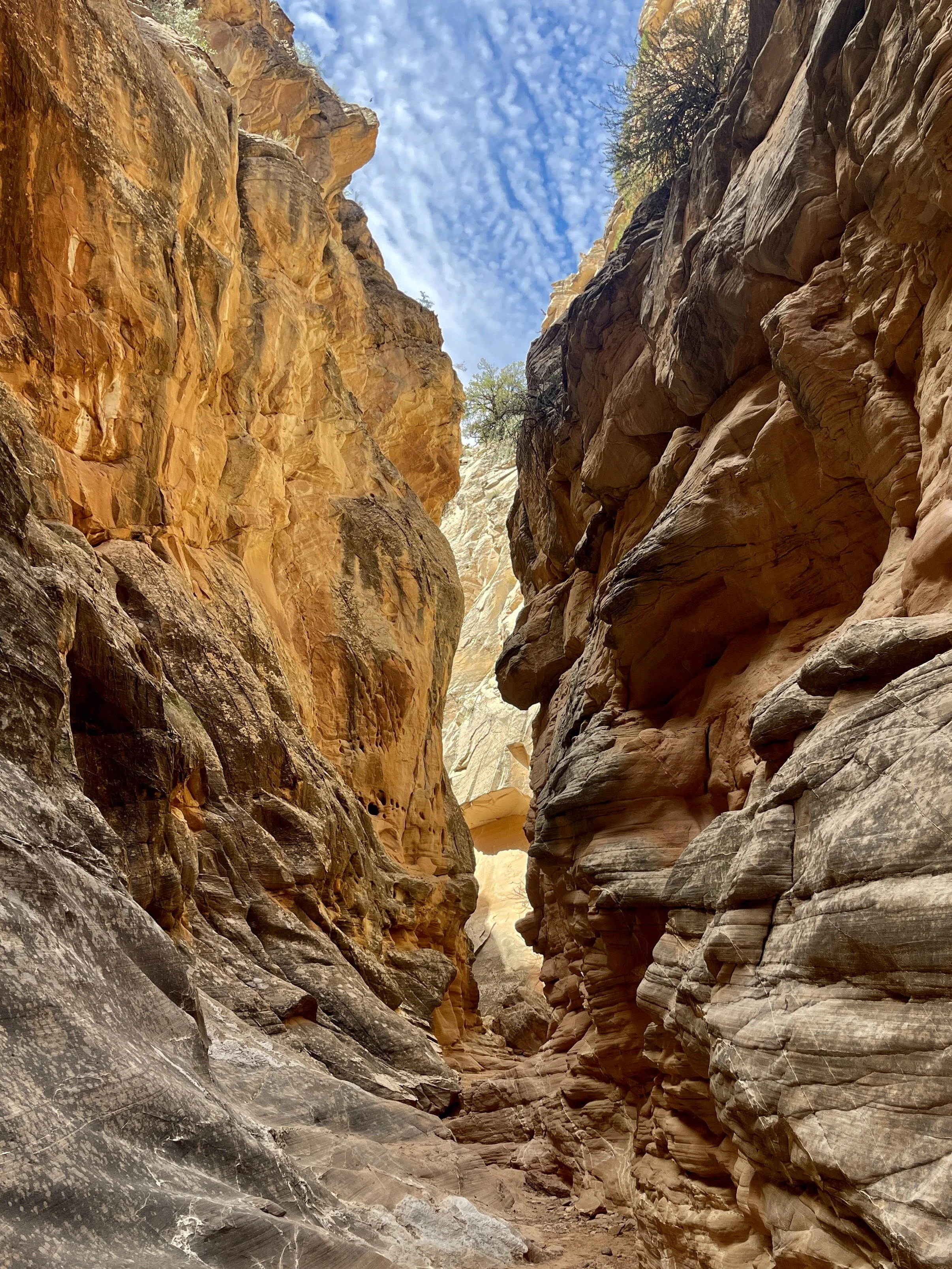 Cottonwood Narrows, Grand Staircase-Escalante National Monument, UT