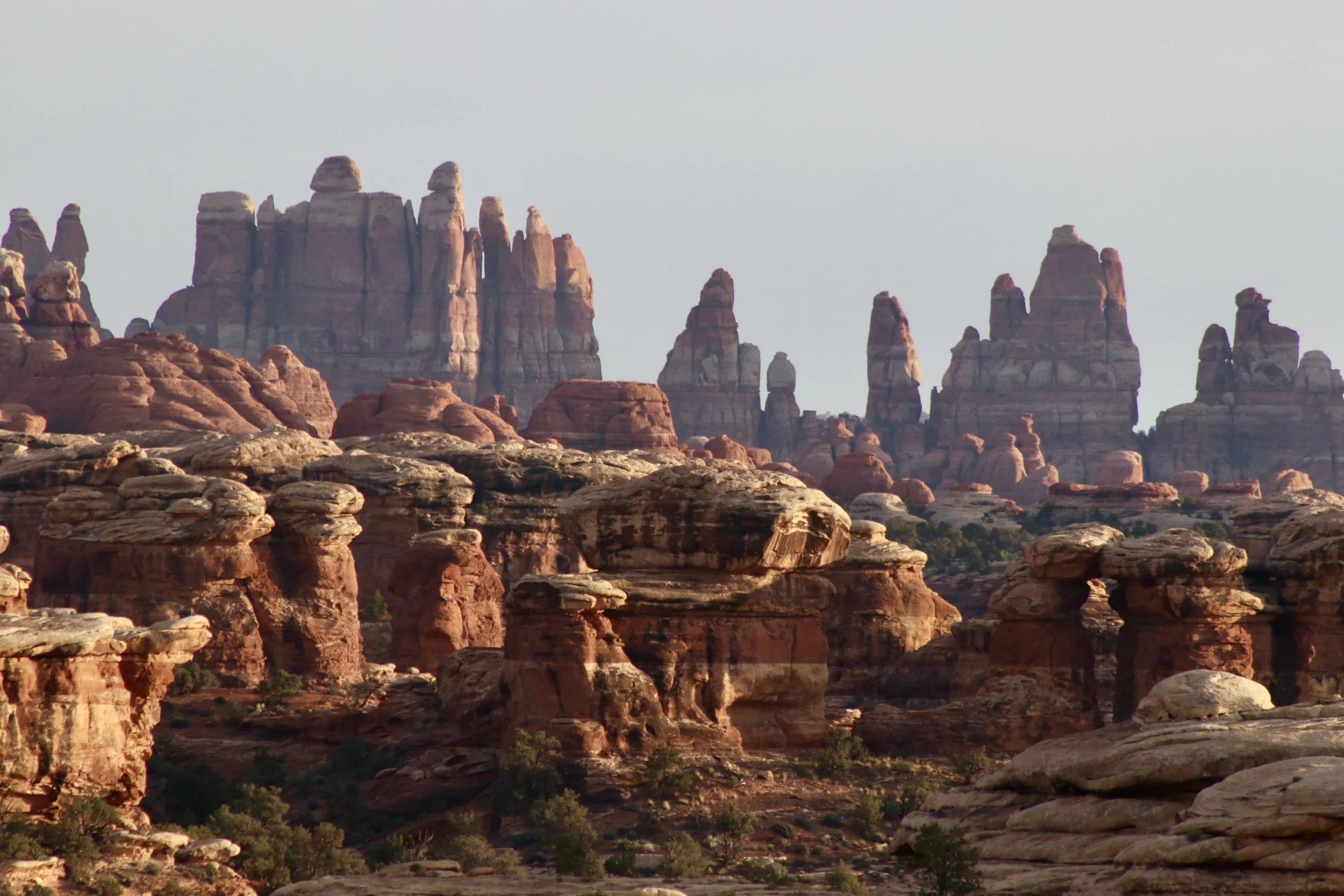 The Needles, Canyonlands National Park, UT