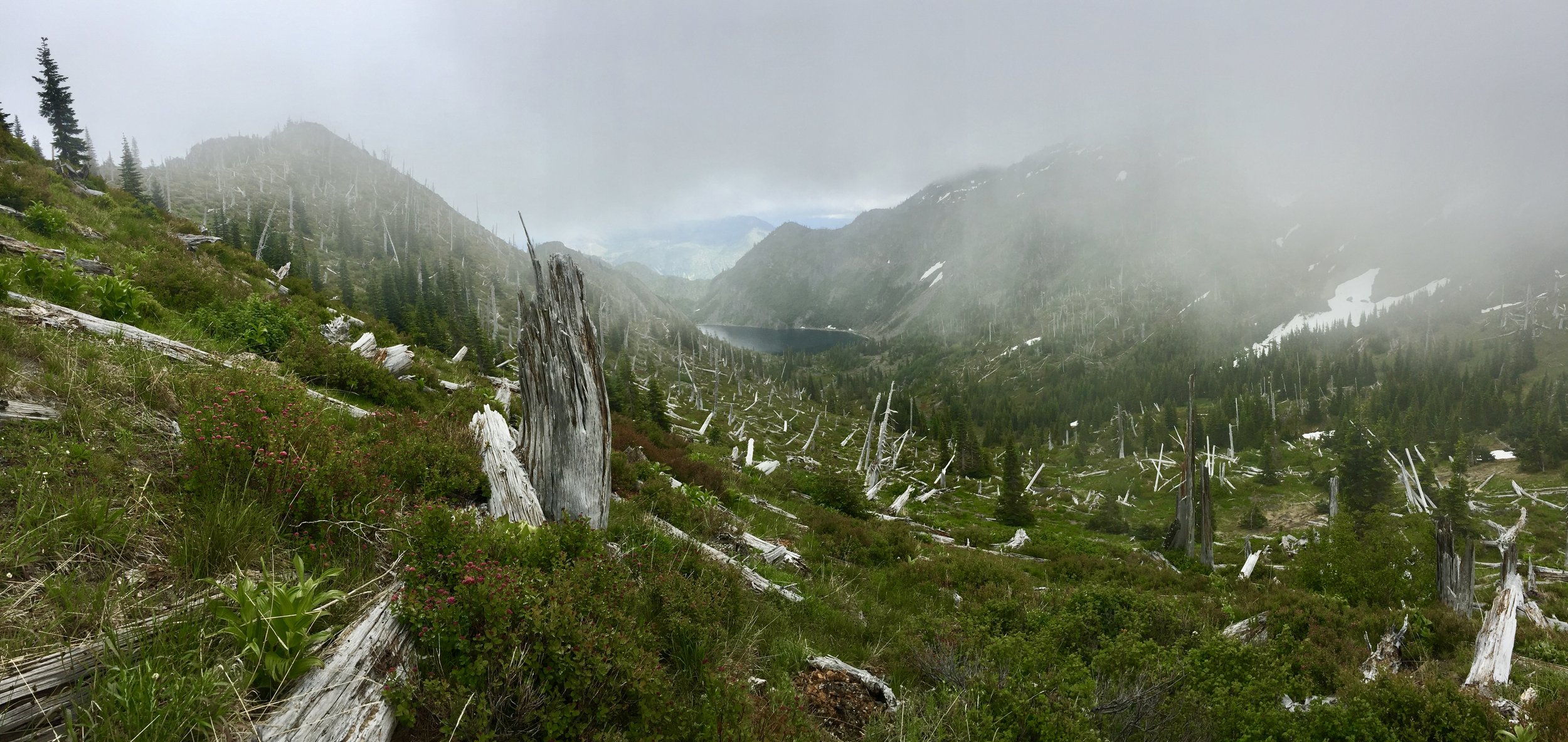 Shovel Lake, Mt. St Helens National Volcanic Monument, WA