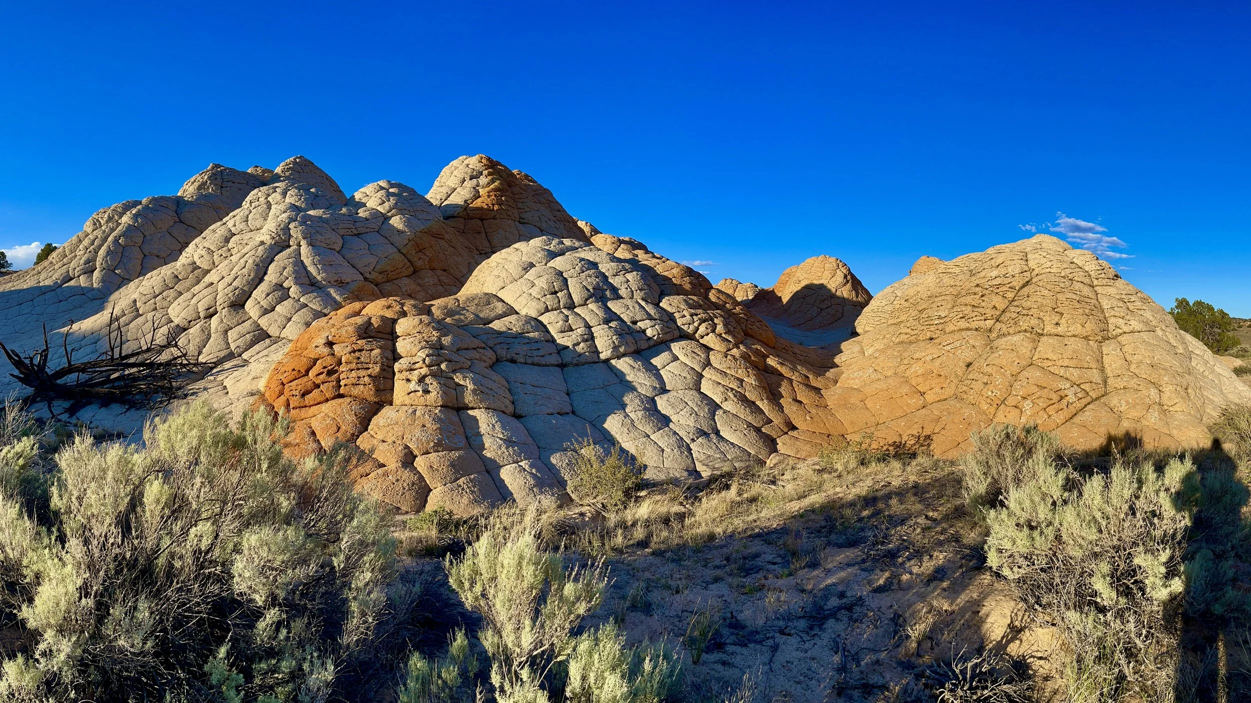 Middle Reservoir, Vermillion Cliffs National Monument, AZ