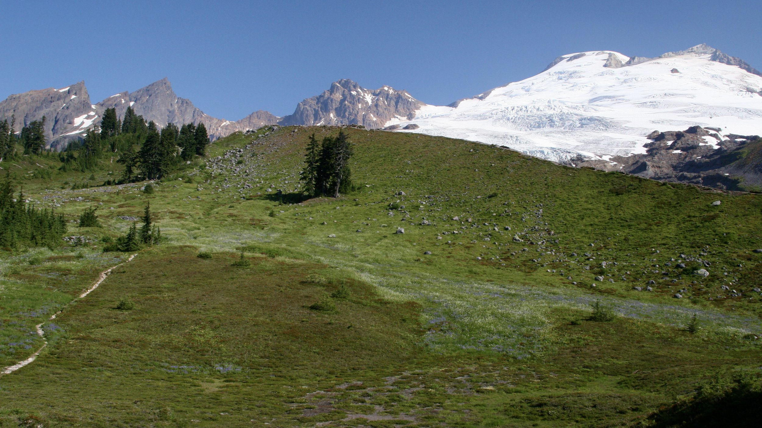 Mt. Baker, Mt. Baker-Snoqualmie Natl. Forest