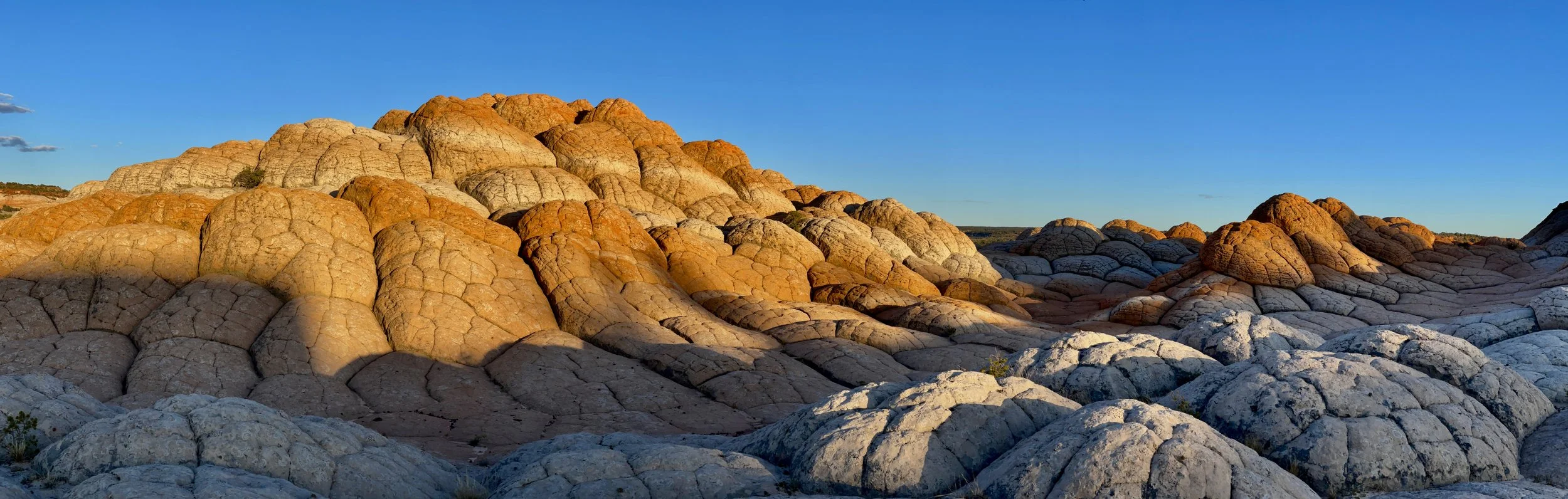 Middle Reservoir, Vermillion Cliffs National Monument, AZ