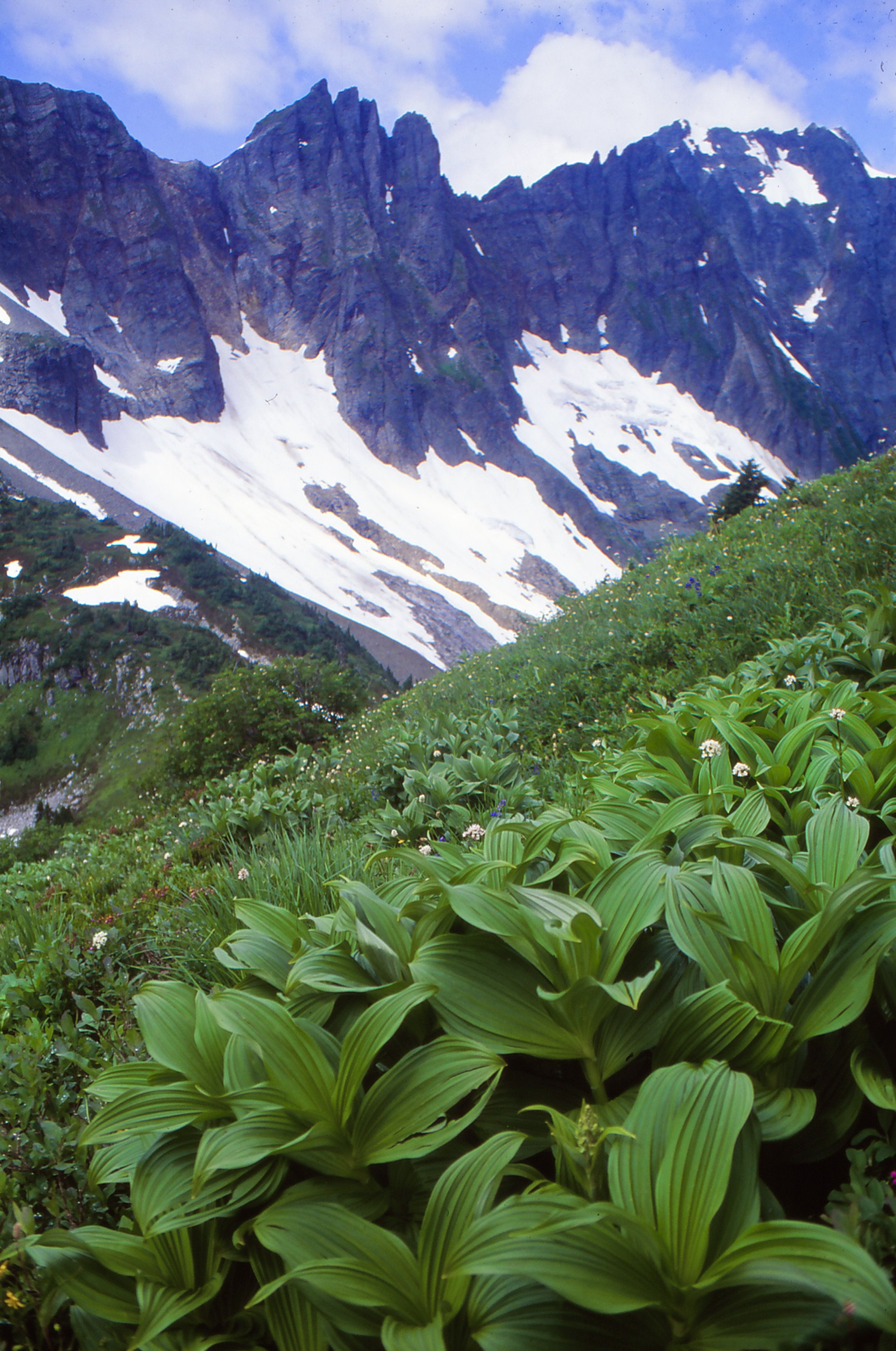 Cascade Pass, North Cascades National Park, WA