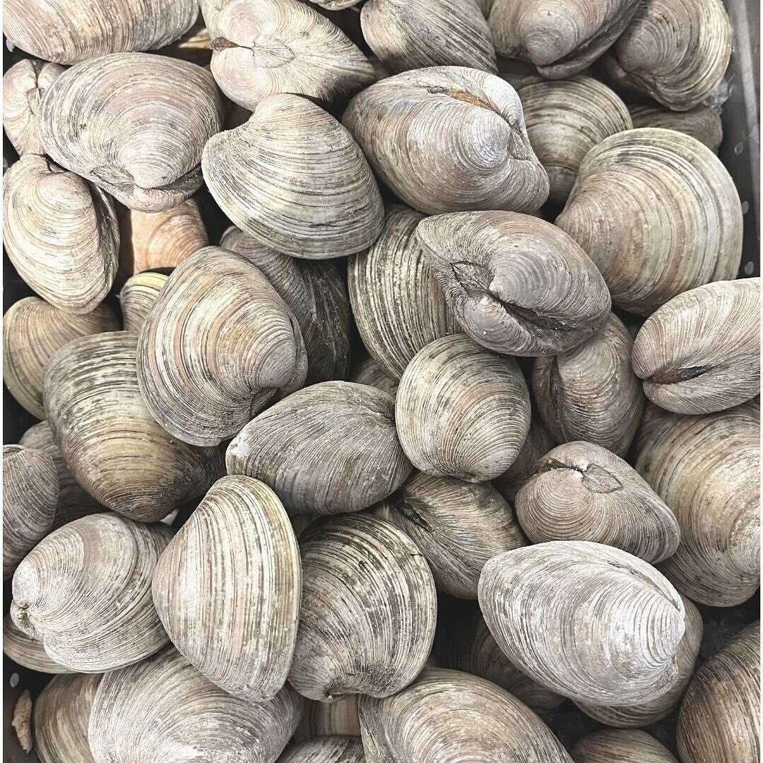 What's your preference for these guys today? ⁠
Clams in White Wine❔⁠
Clams on a Half Shell❔⁠
New England Clam Chowder❔ ⁠
Seafood Rice❔⁠
⁠
Head to the link in our bio to place your order for pickup or delivery today!⁠
.⁠
.⁠
.⁠
.⁠
.⁠
#bossafish #elizab