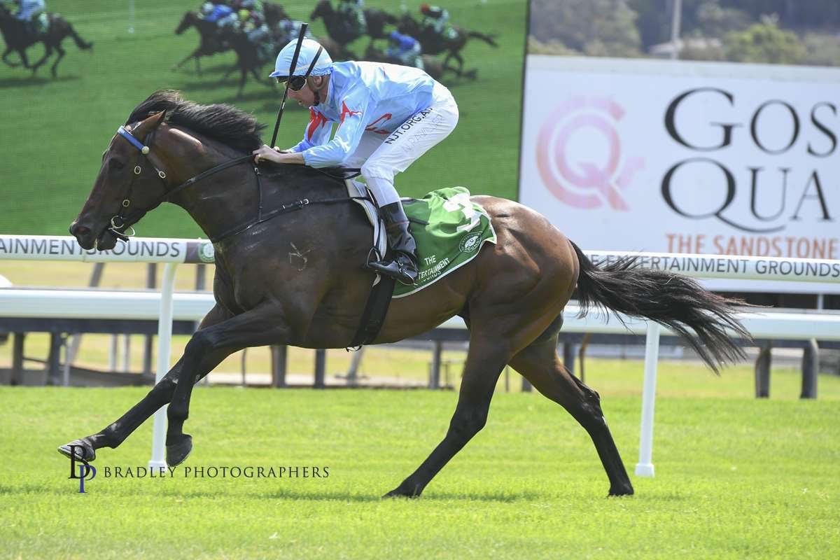 Coco Cuber 1st Win Short.jpg