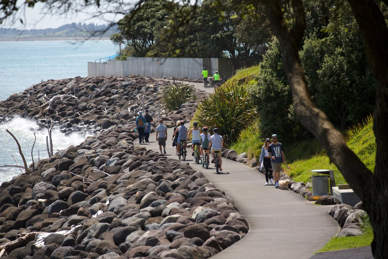 New Plymouth’s Coastal Walkway: A platform for connecting people, places and spaces.