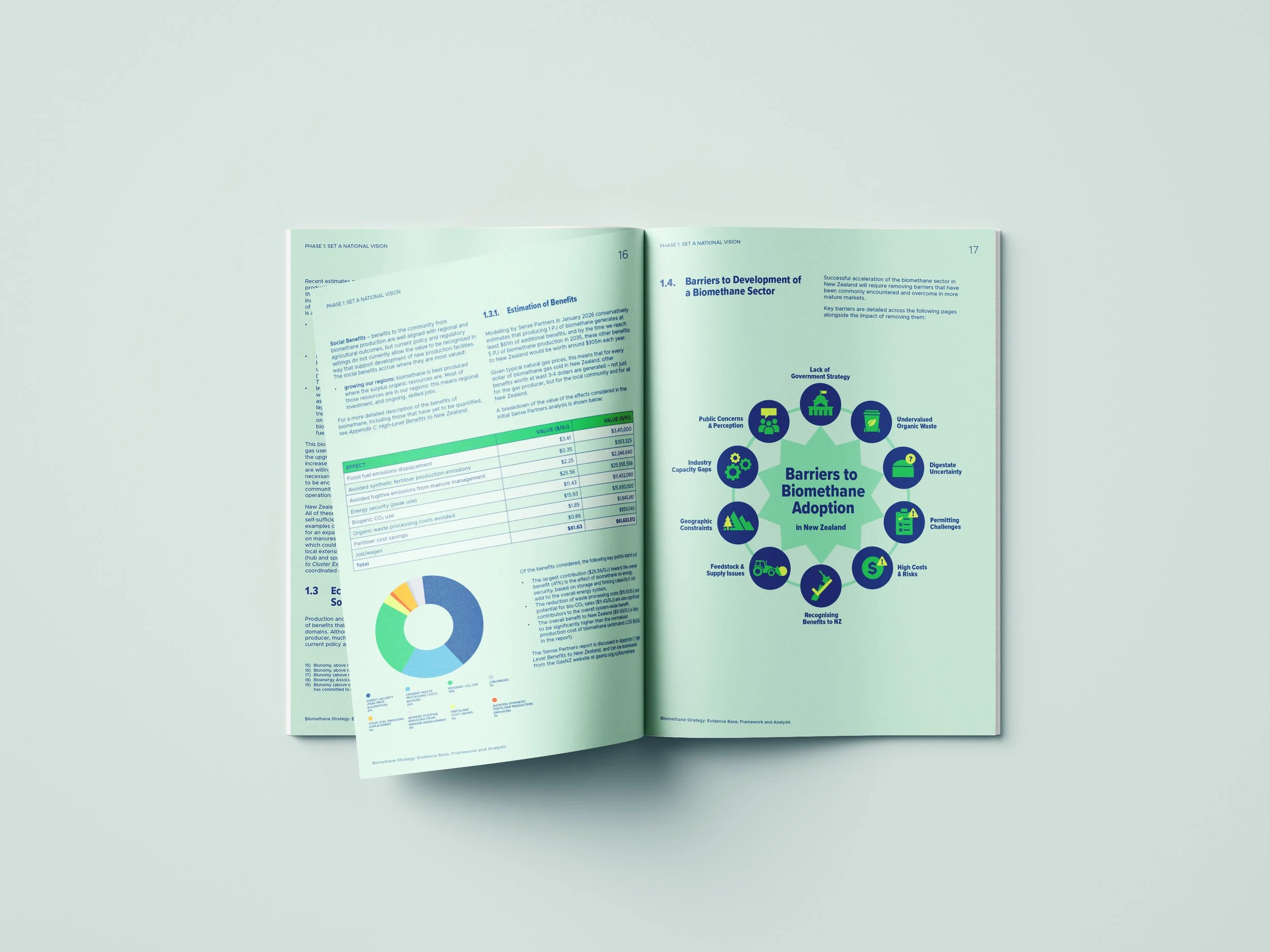 GasNZ Biogas Strategic Report