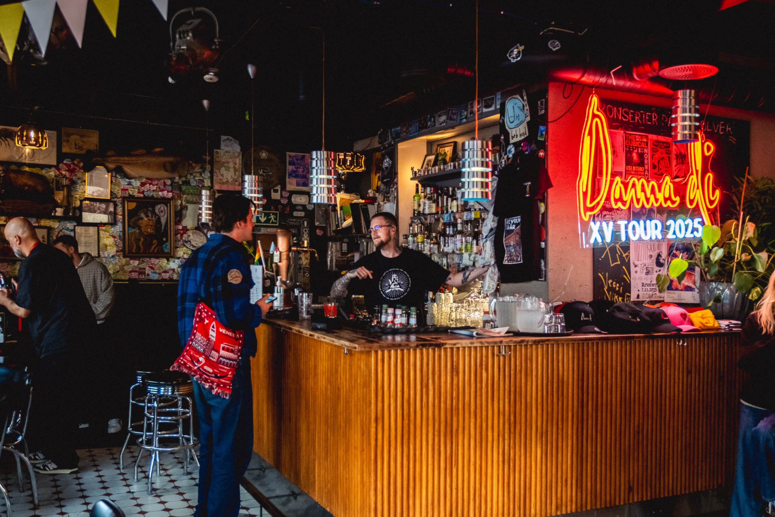 Dama Di XV Oslo-8.jpg